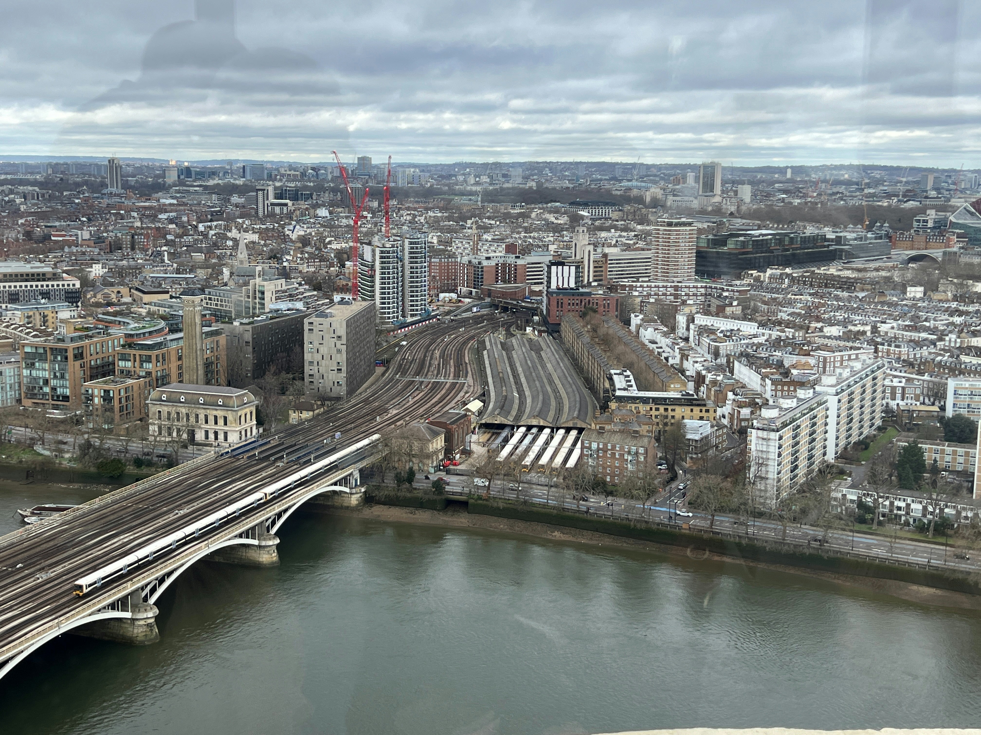 cafard-blattes-75002-Paris-2