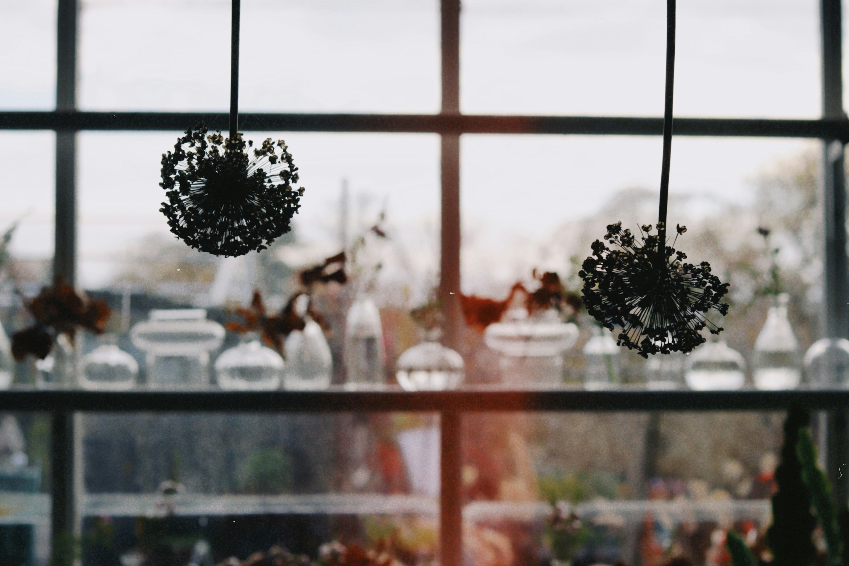 Photo by tanyabarrow