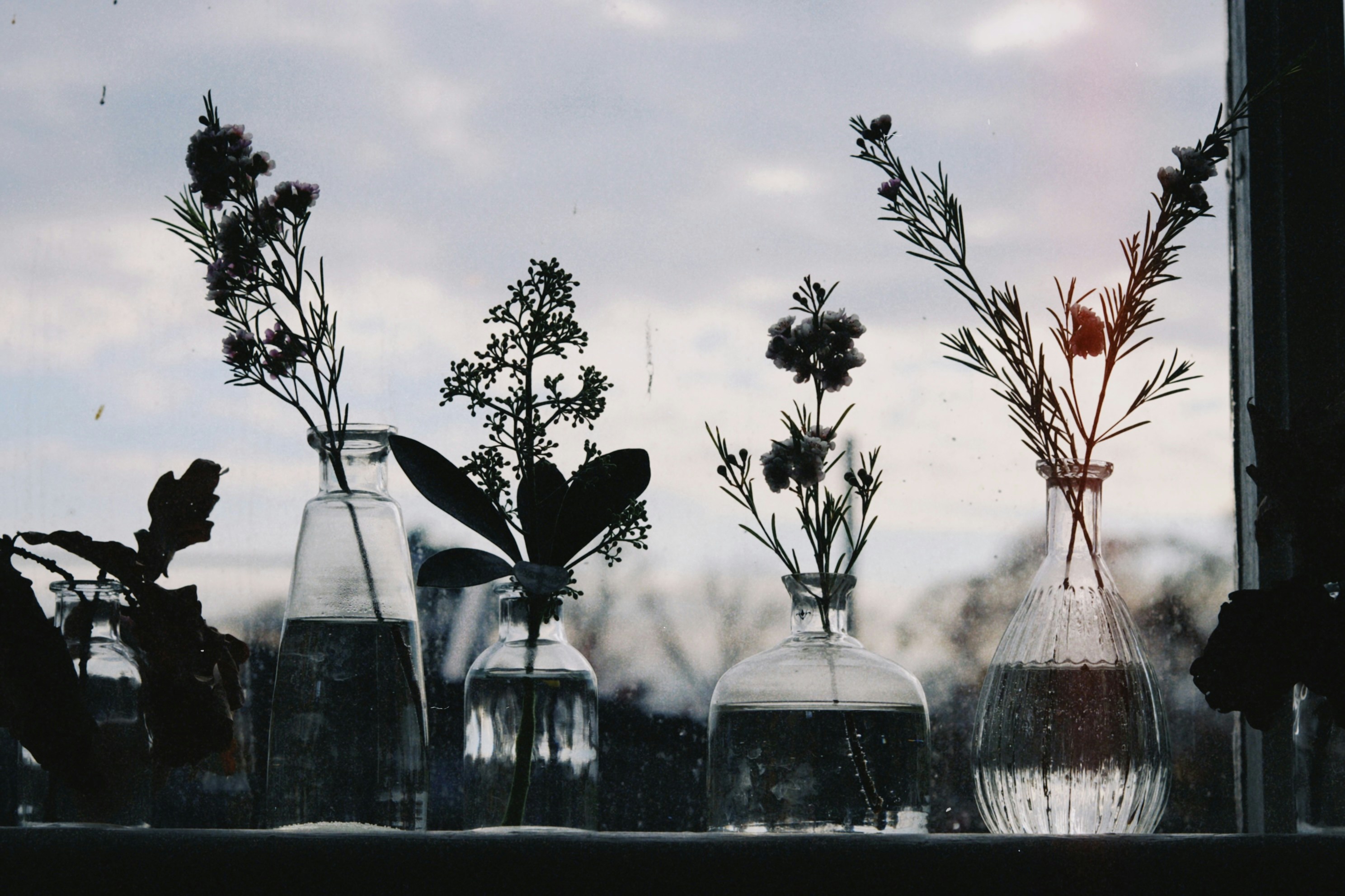 Photo by tanyabarrow