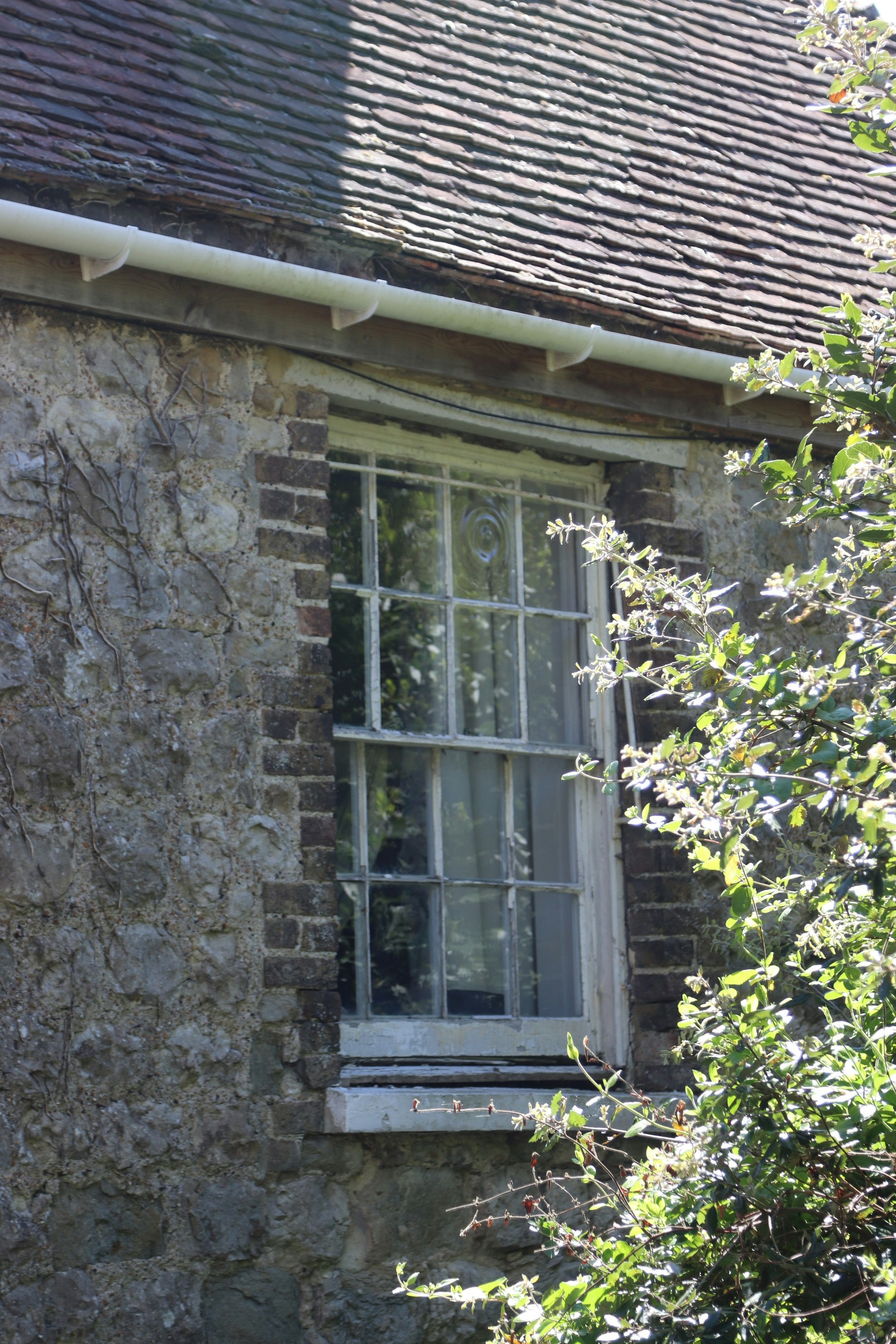 Photo by tanyabarrow