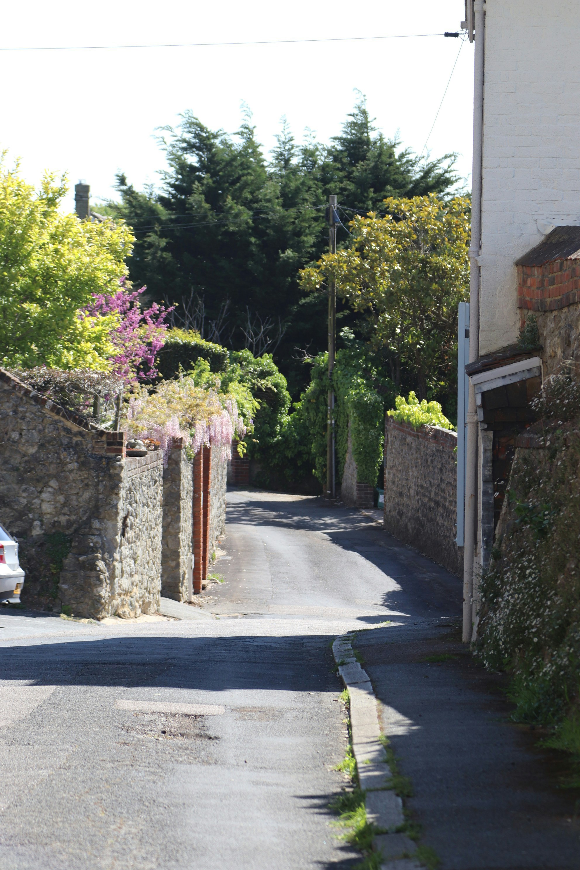 Photo by tanyabarrow