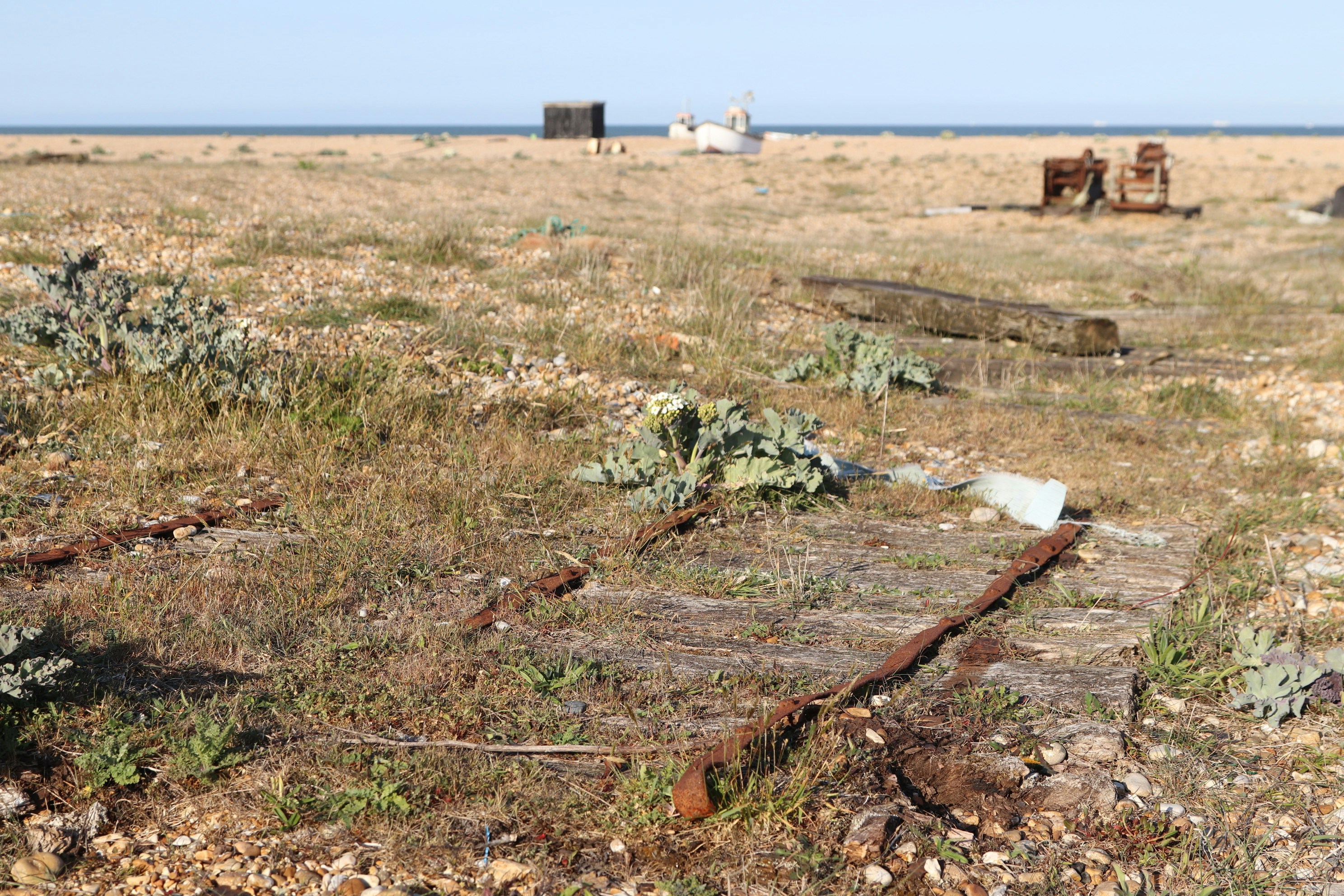 Photo by tanyabarrow