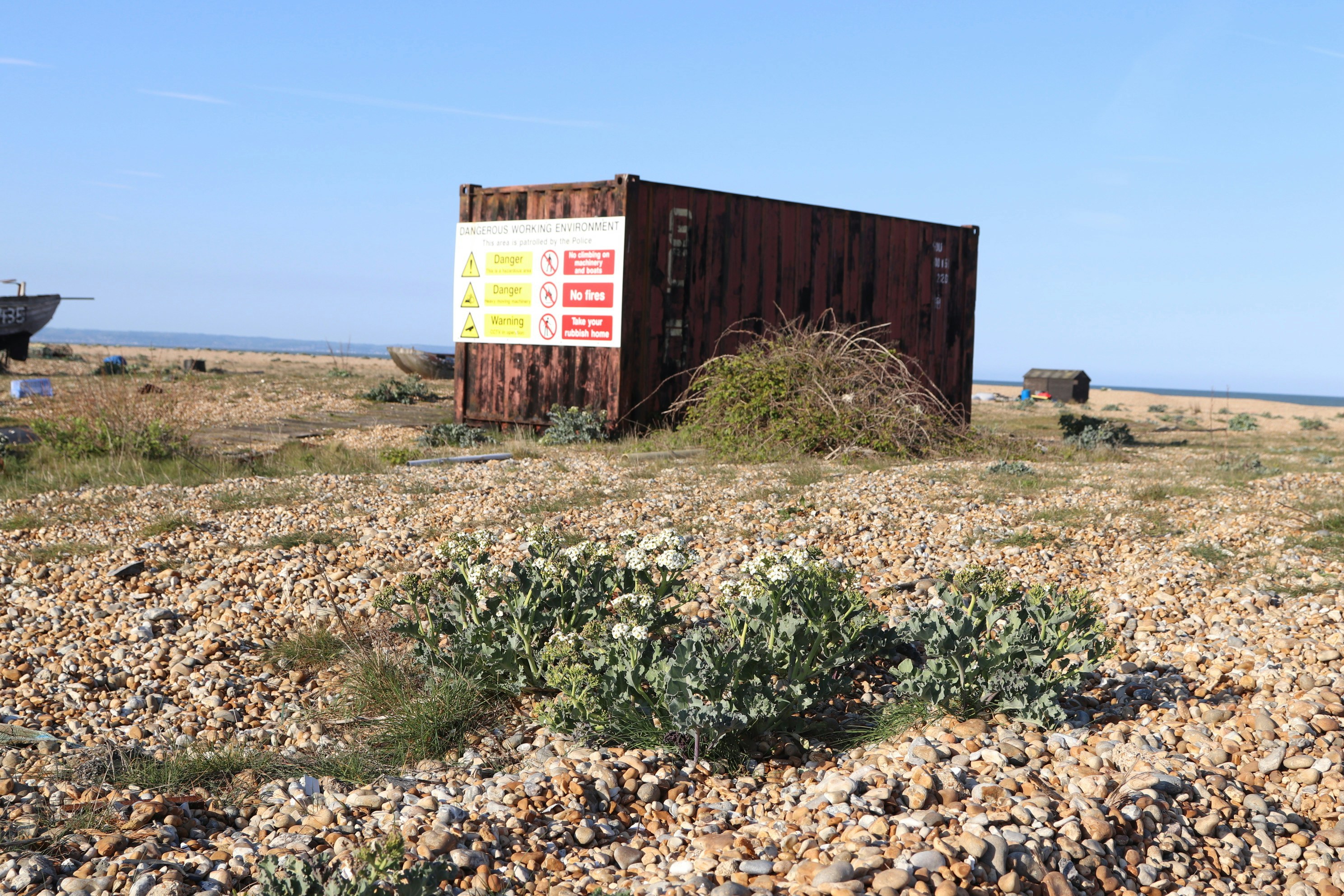 Photo by tanyabarrow