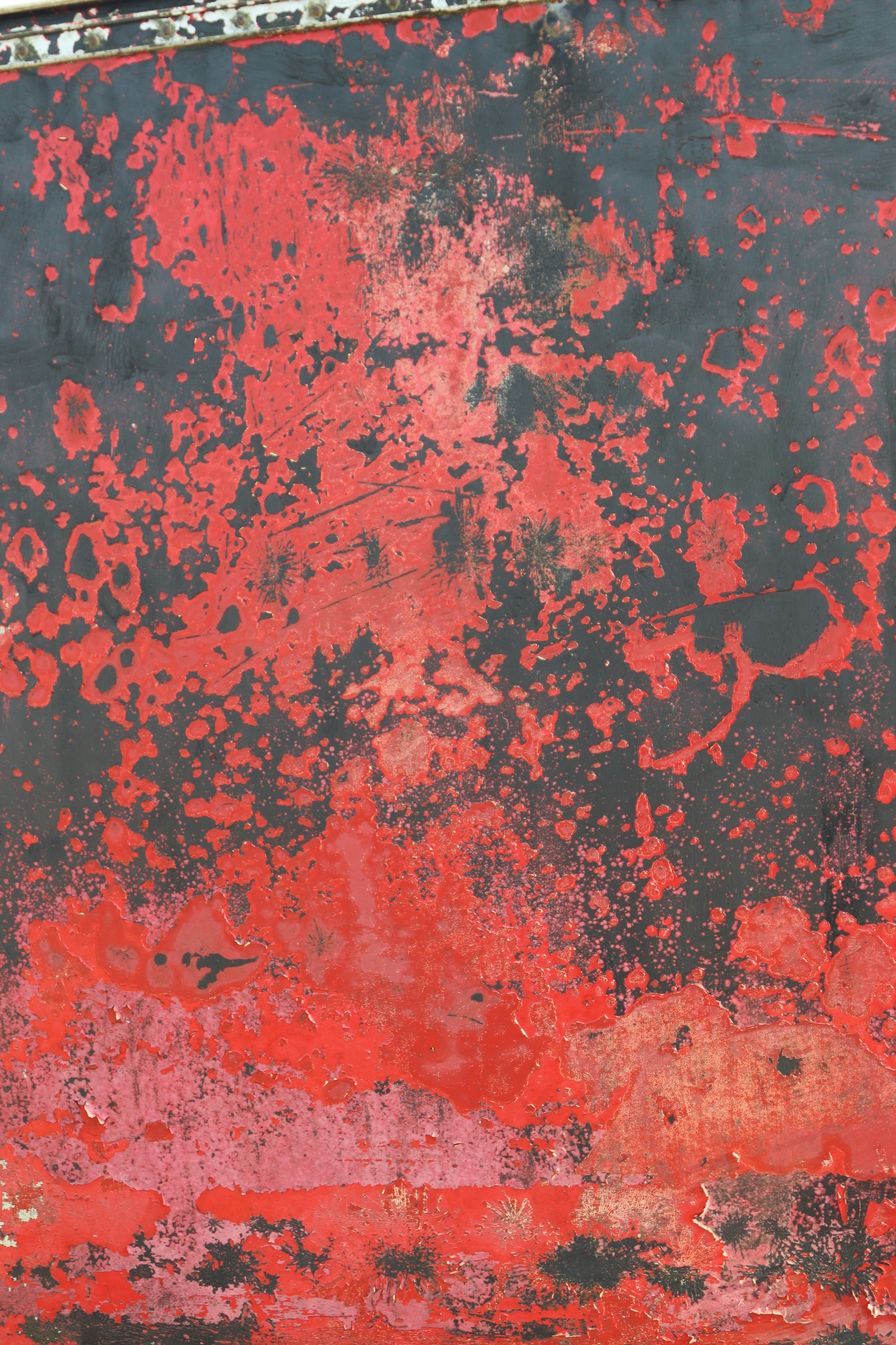 Photo by tanyabarrow