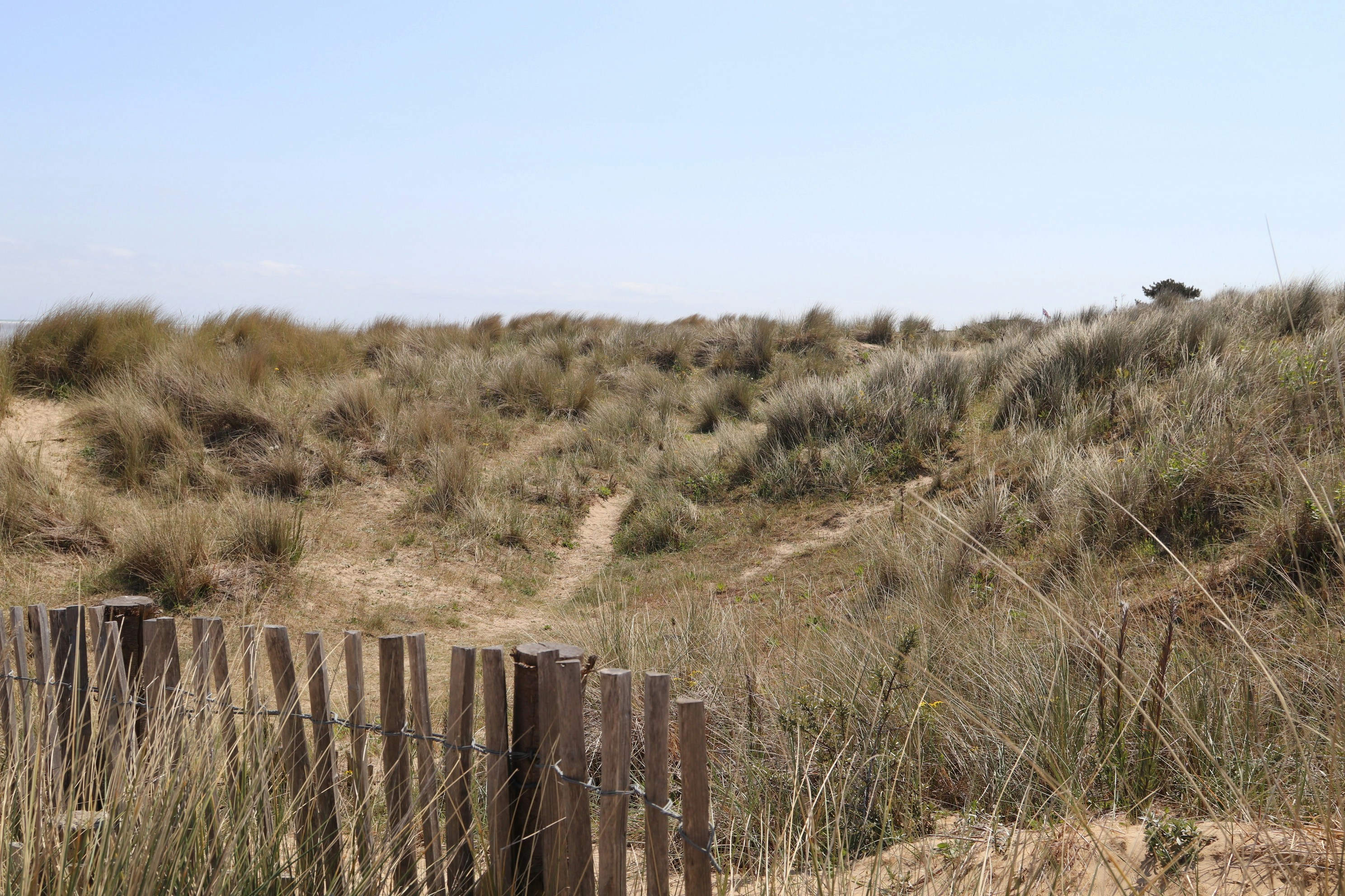 Photo by tanyabarrow