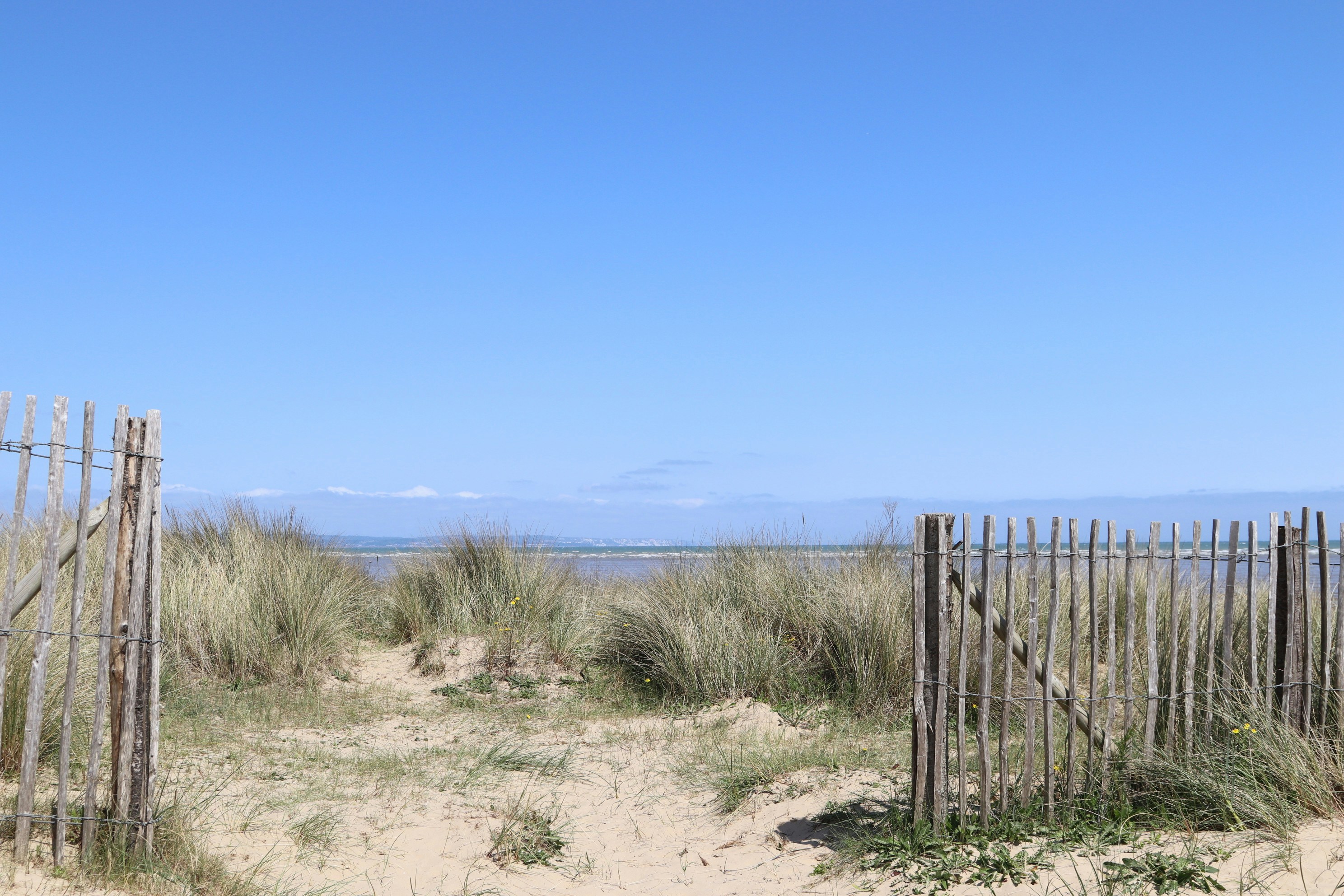 Photo by tanyabarrow