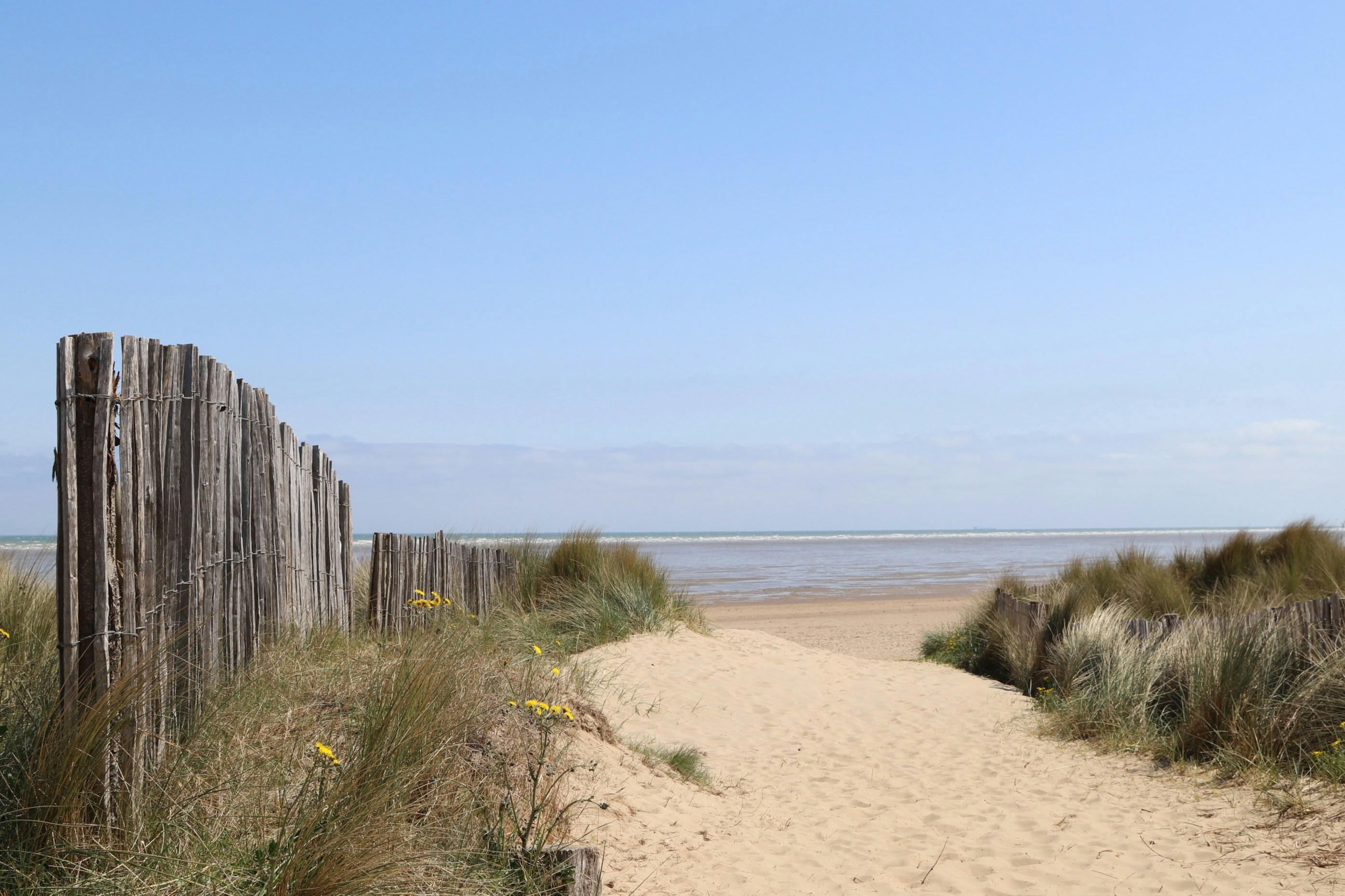 Photo by tanyabarrow