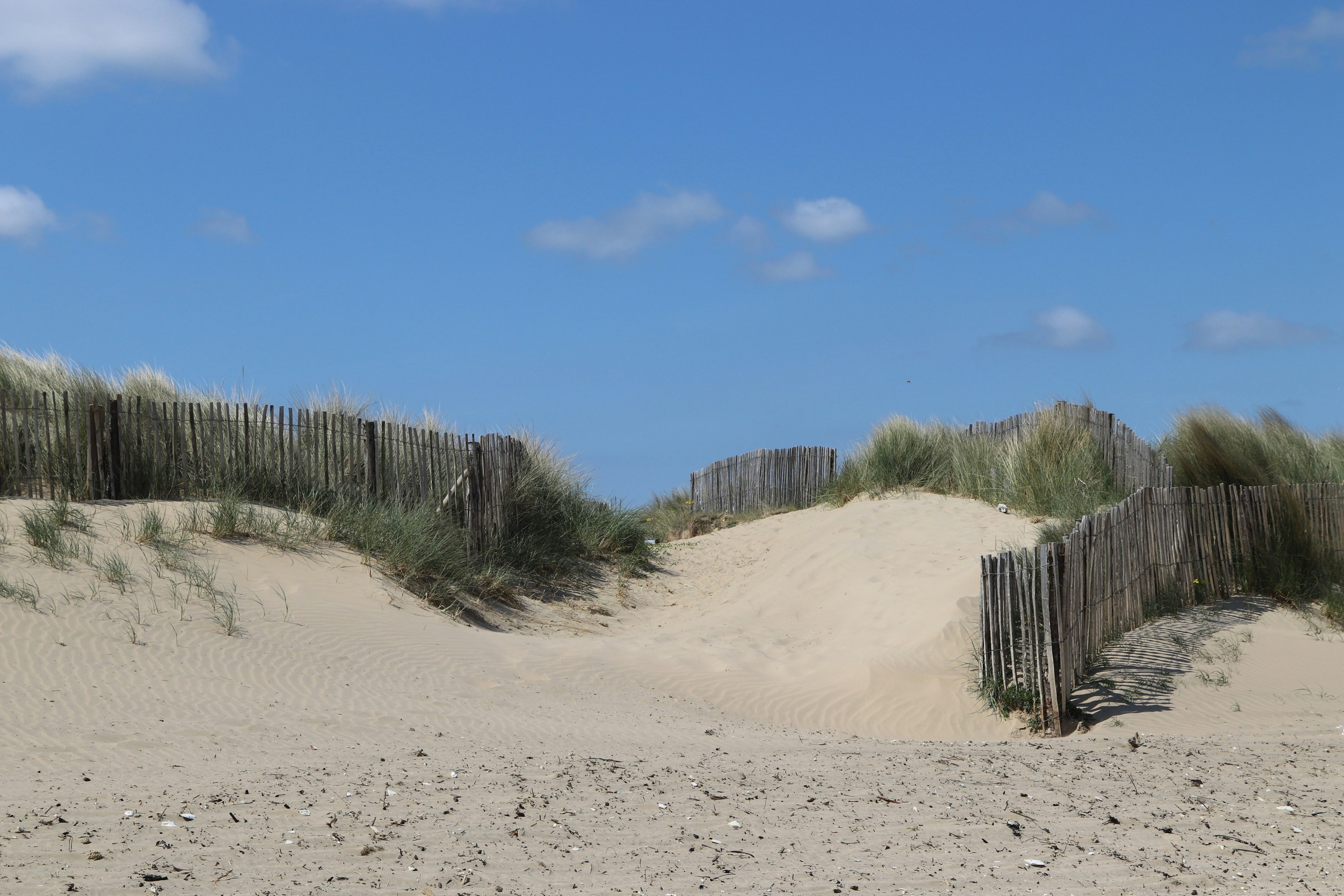 Photo by tanyabarrow