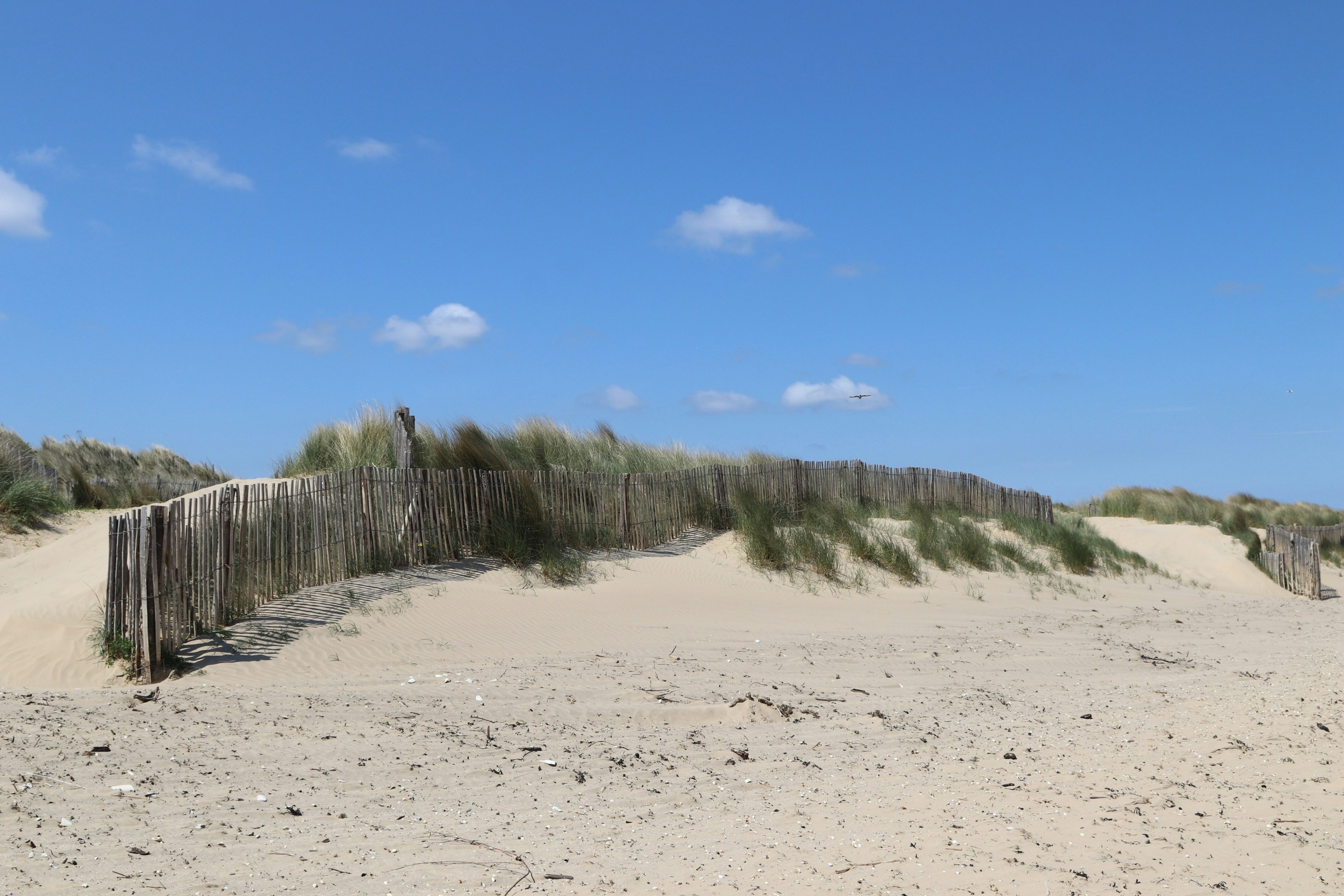 Photo by tanyabarrow