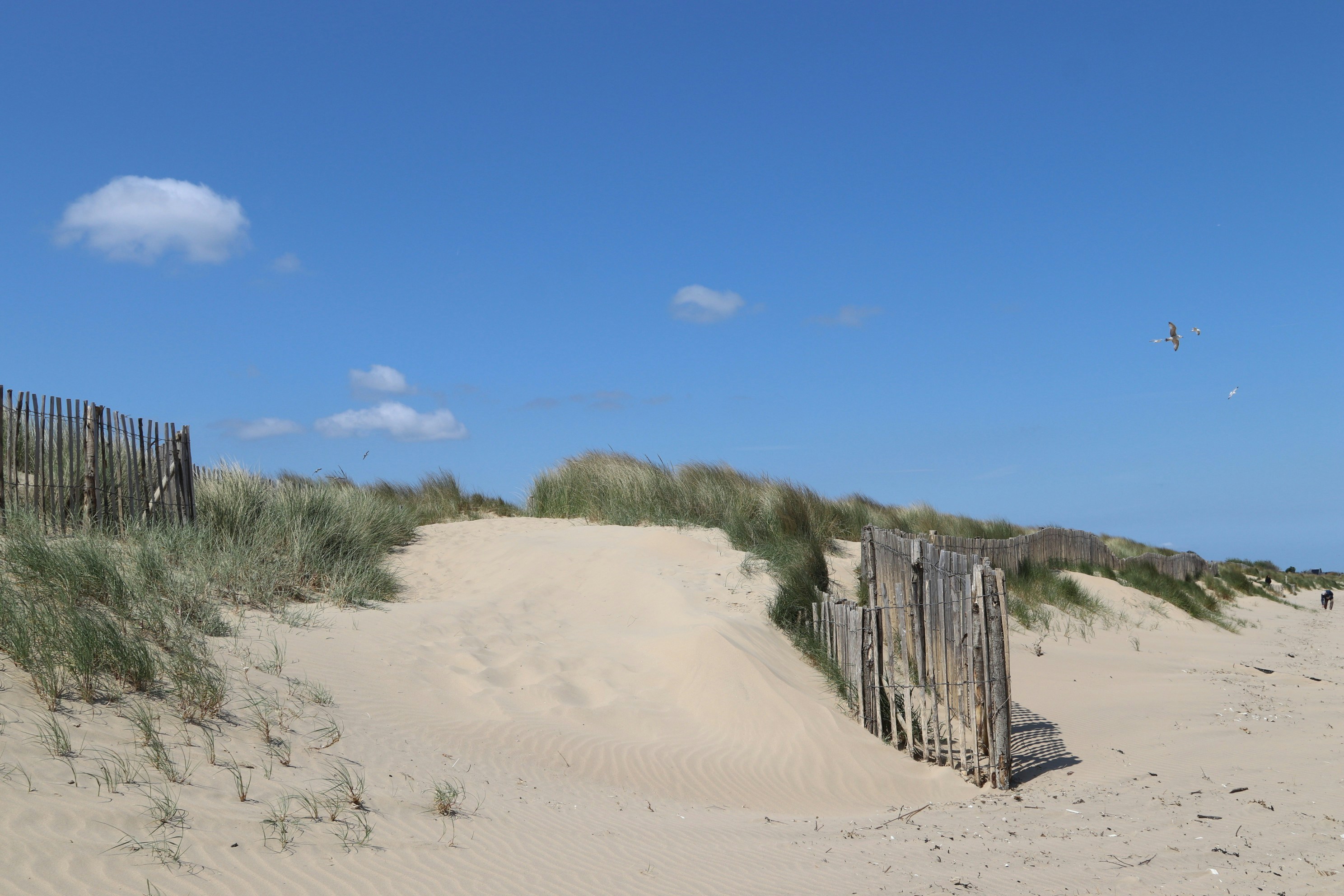 Photo by tanyabarrow