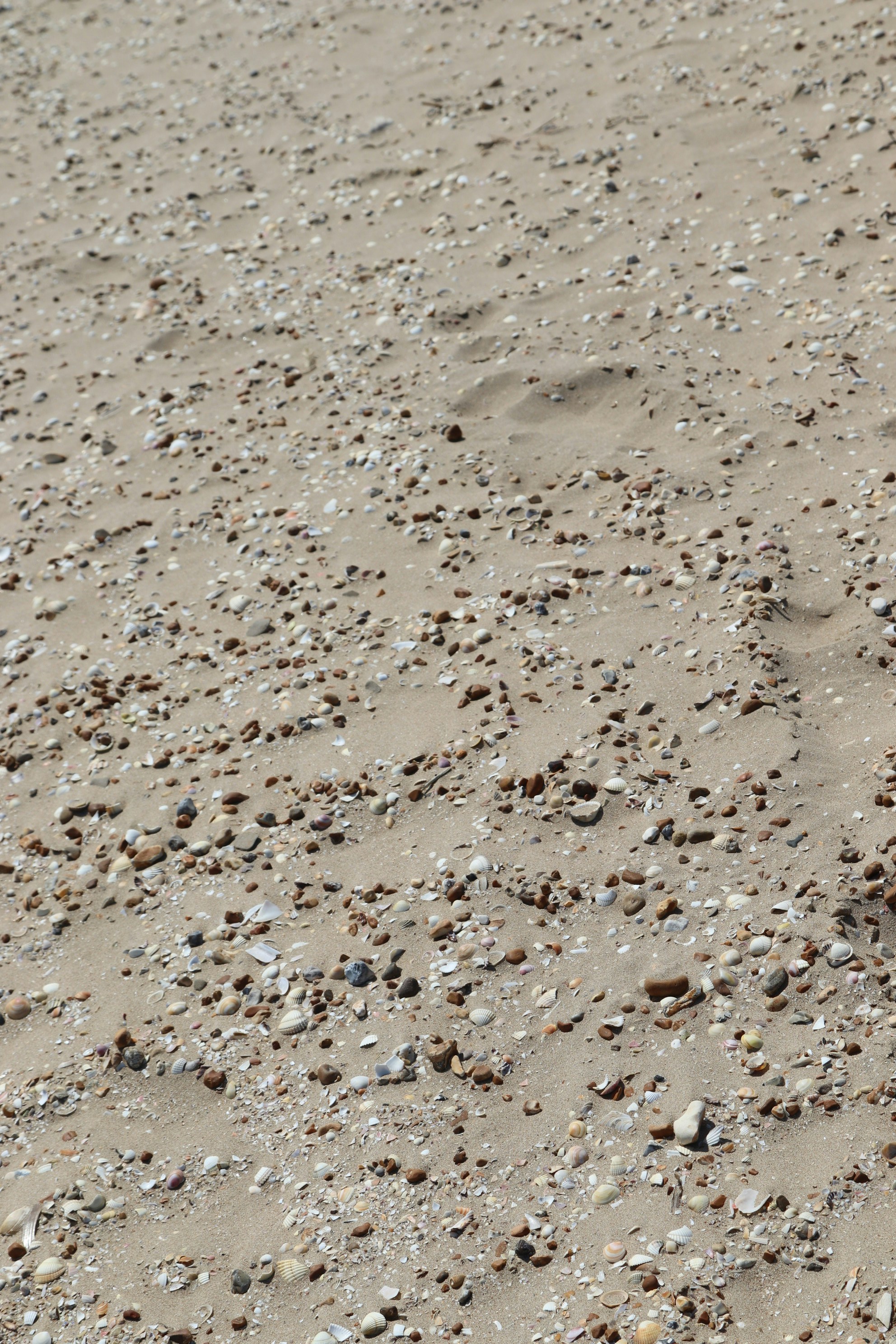 Photo by tanyabarrow