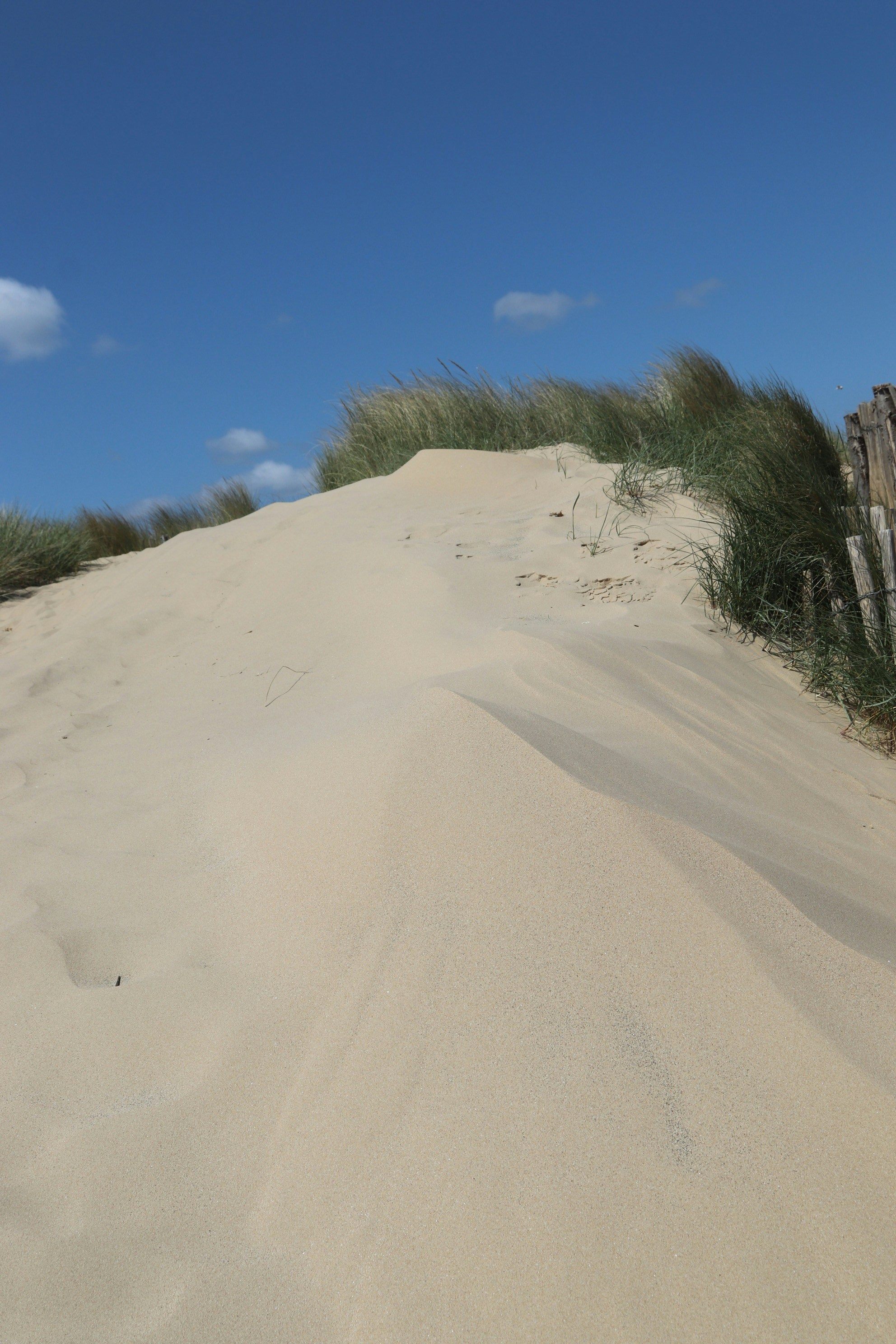 Photo by tanyabarrow