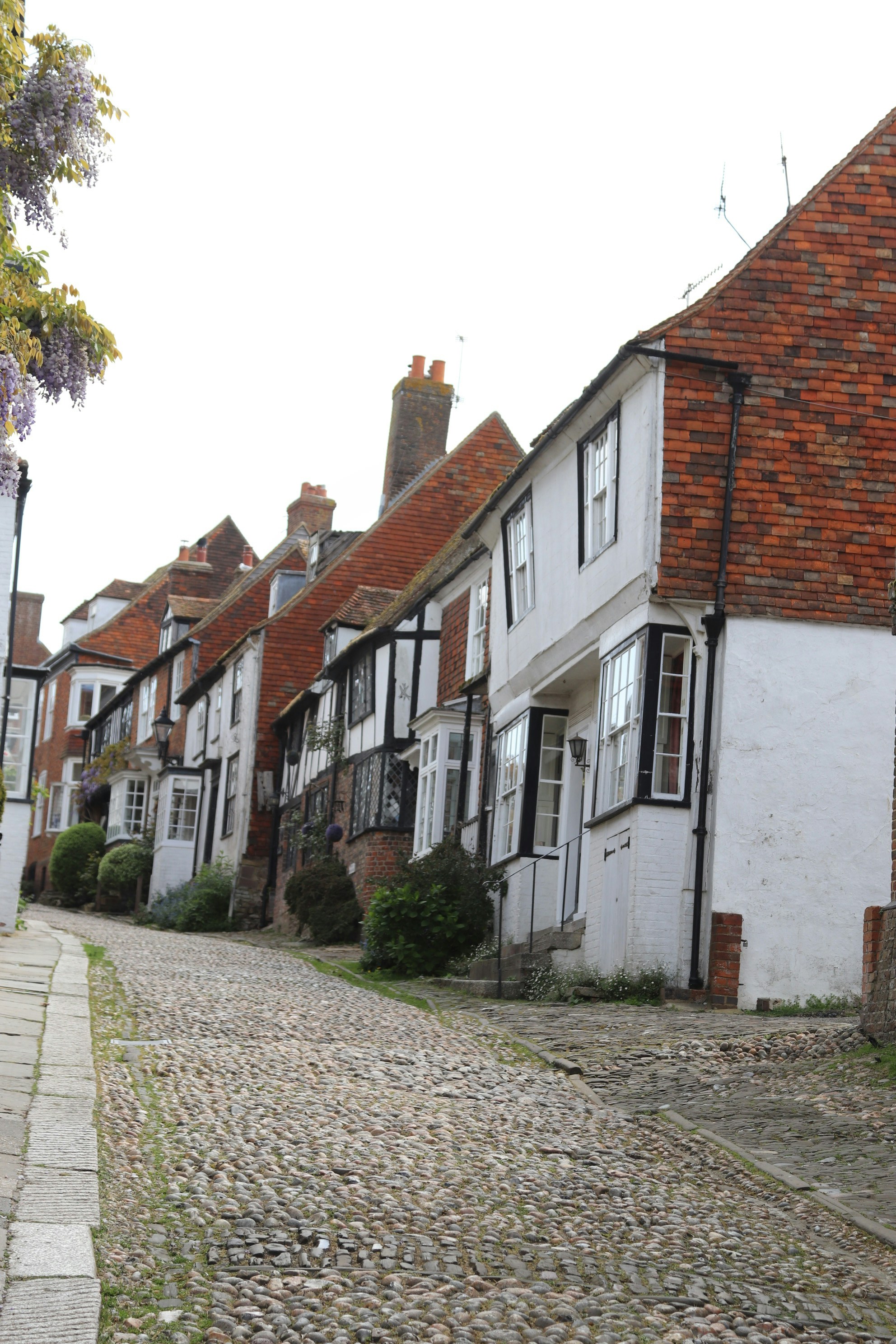 Photo by tanyabarrow