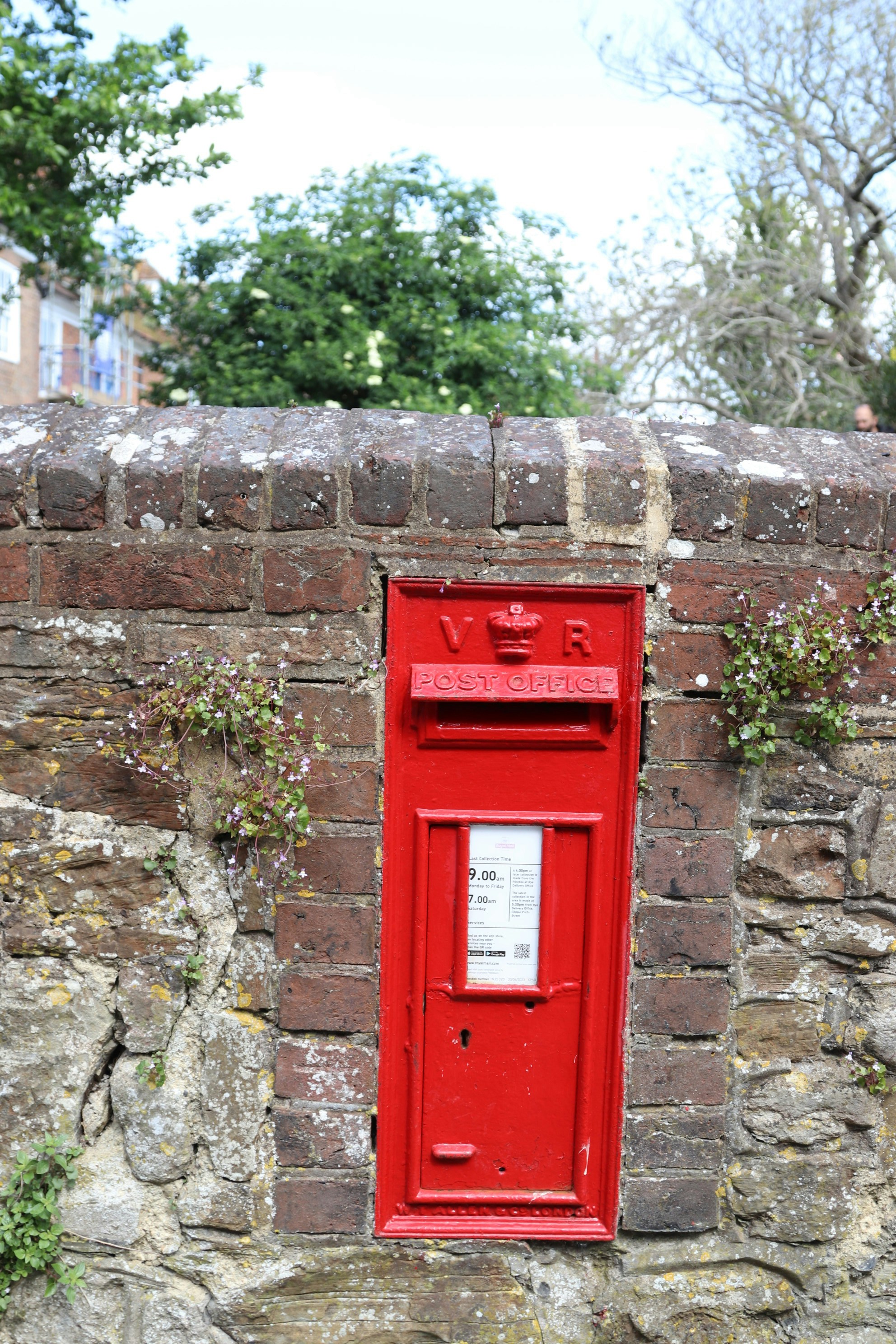 Photo by tanyabarrow