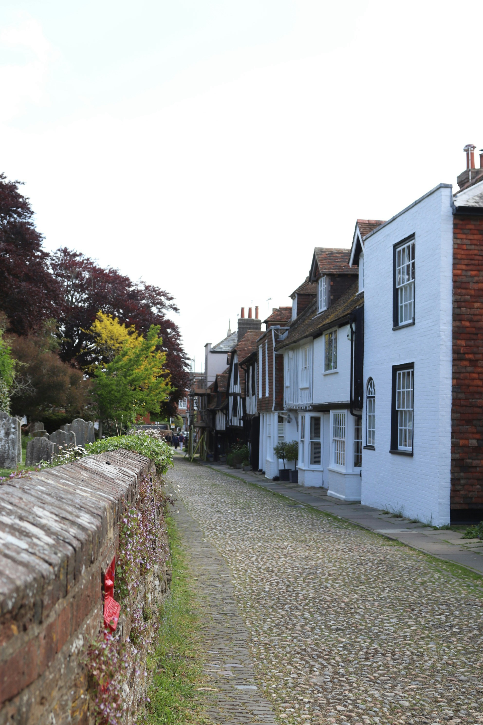 Photo by tanyabarrow