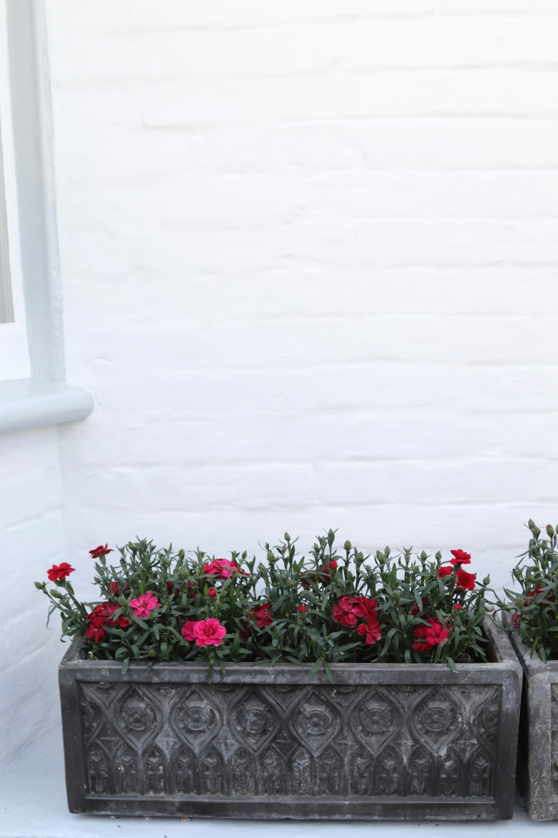 Photo by tanyabarrow