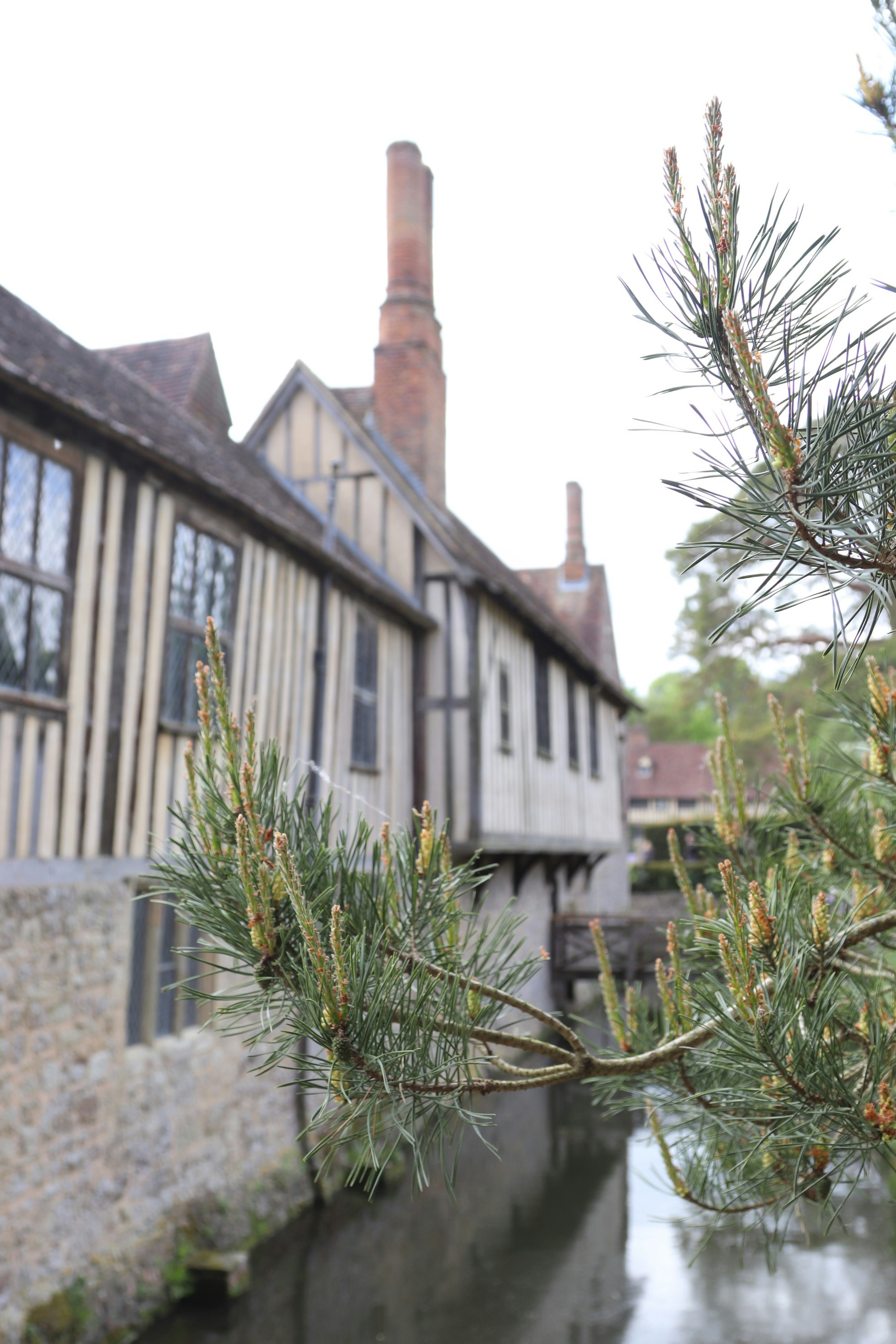 Photo by tanyabarrow