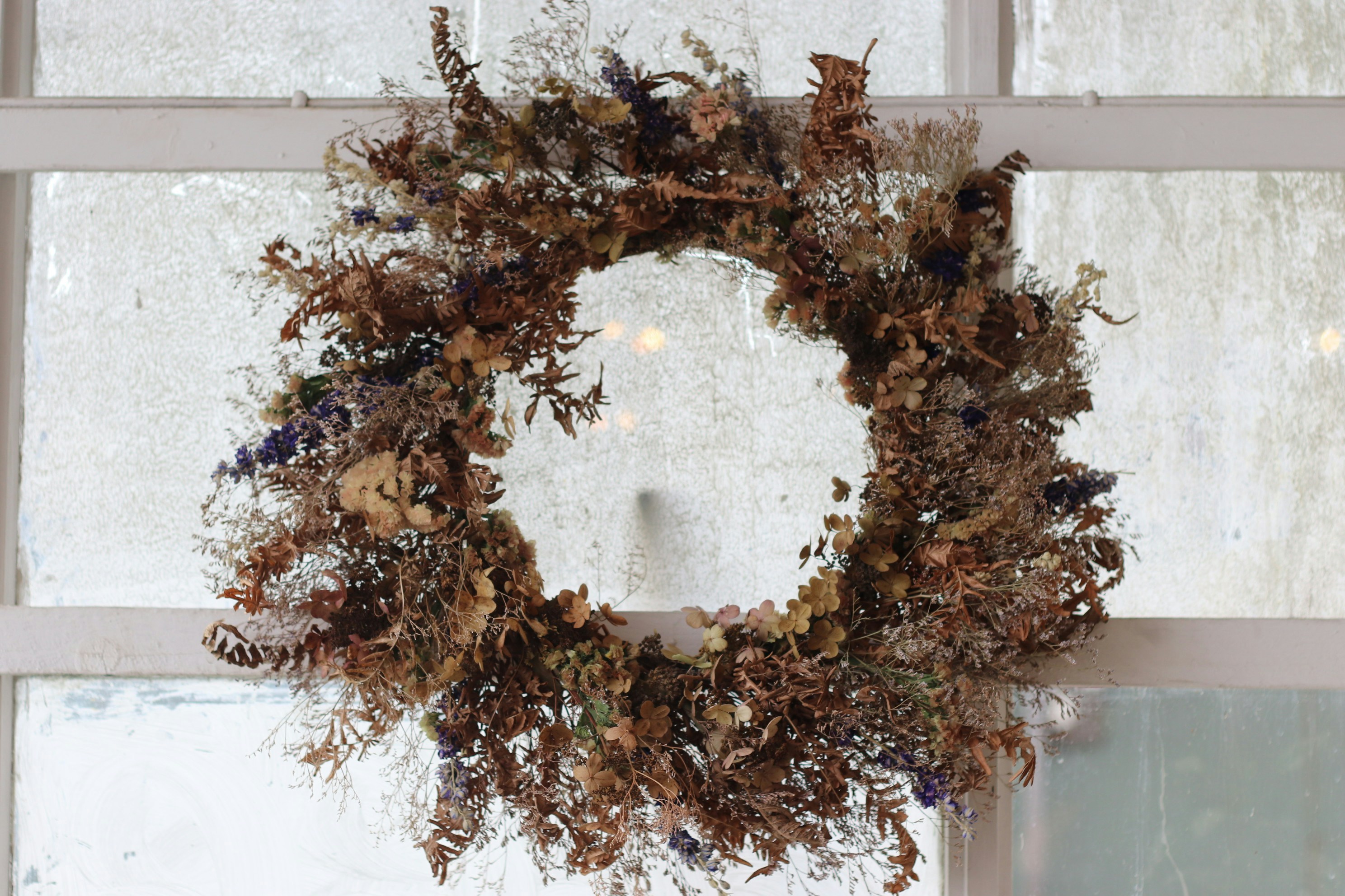 Photo by tanyabarrow