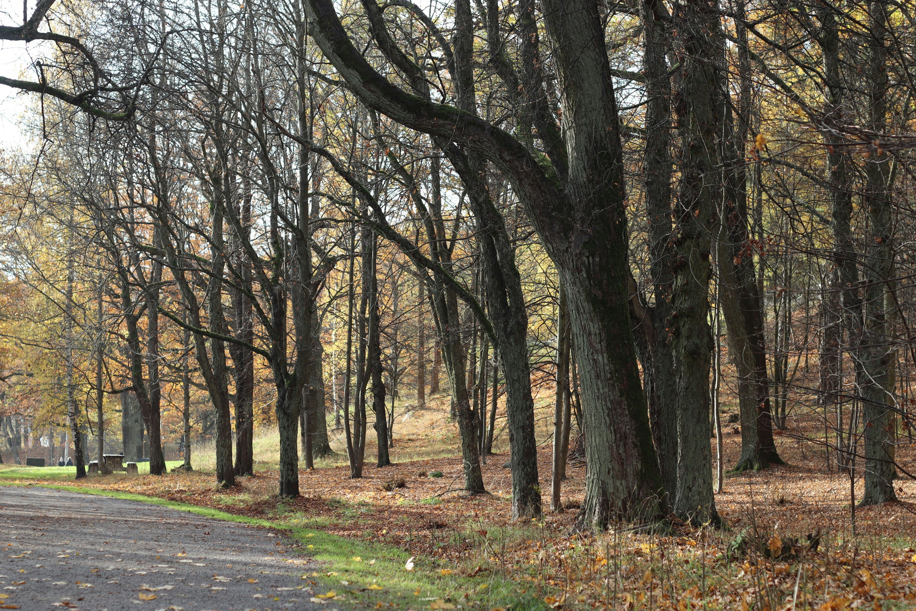 Photo by tanyabarrow