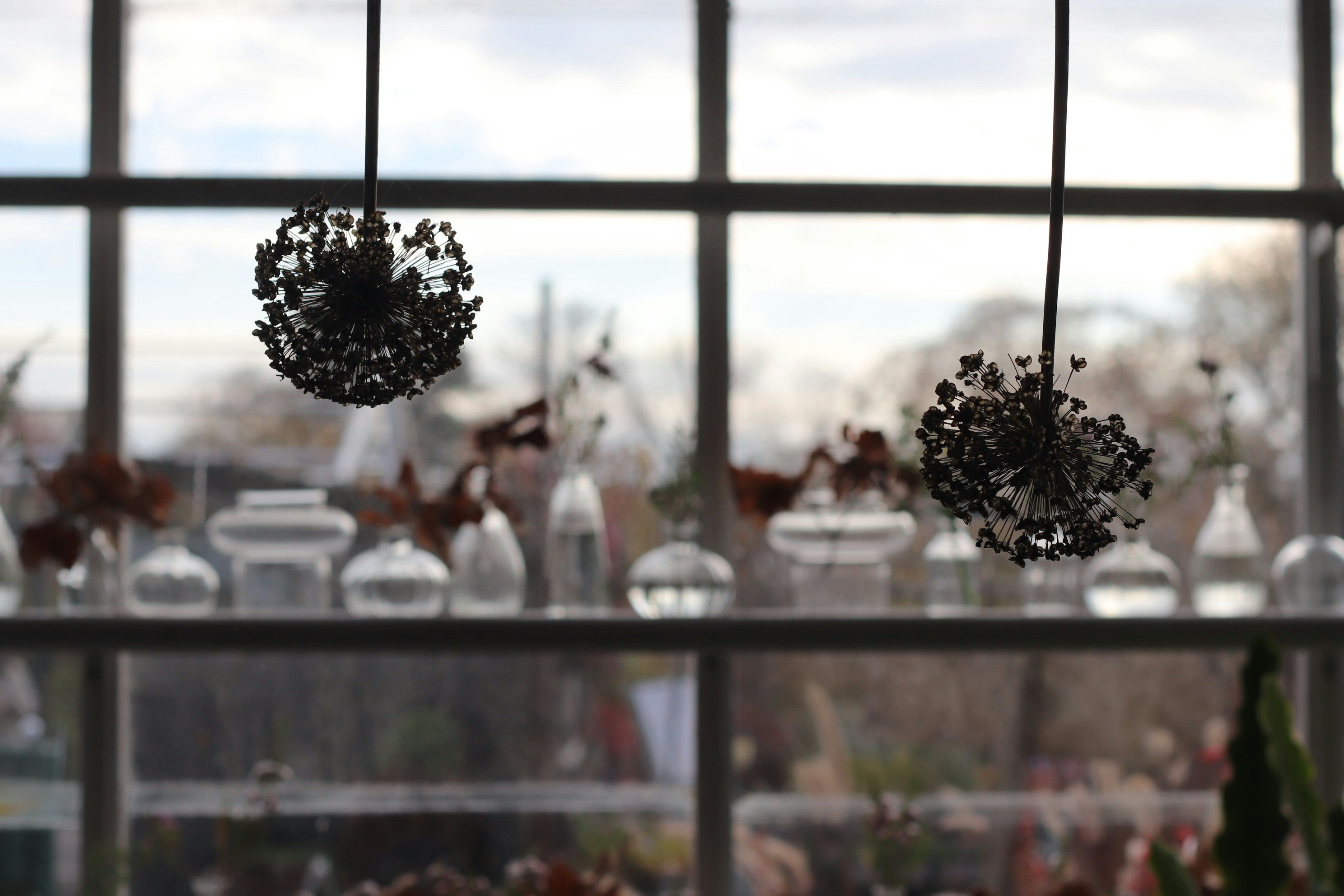 Photo by tanyabarrow