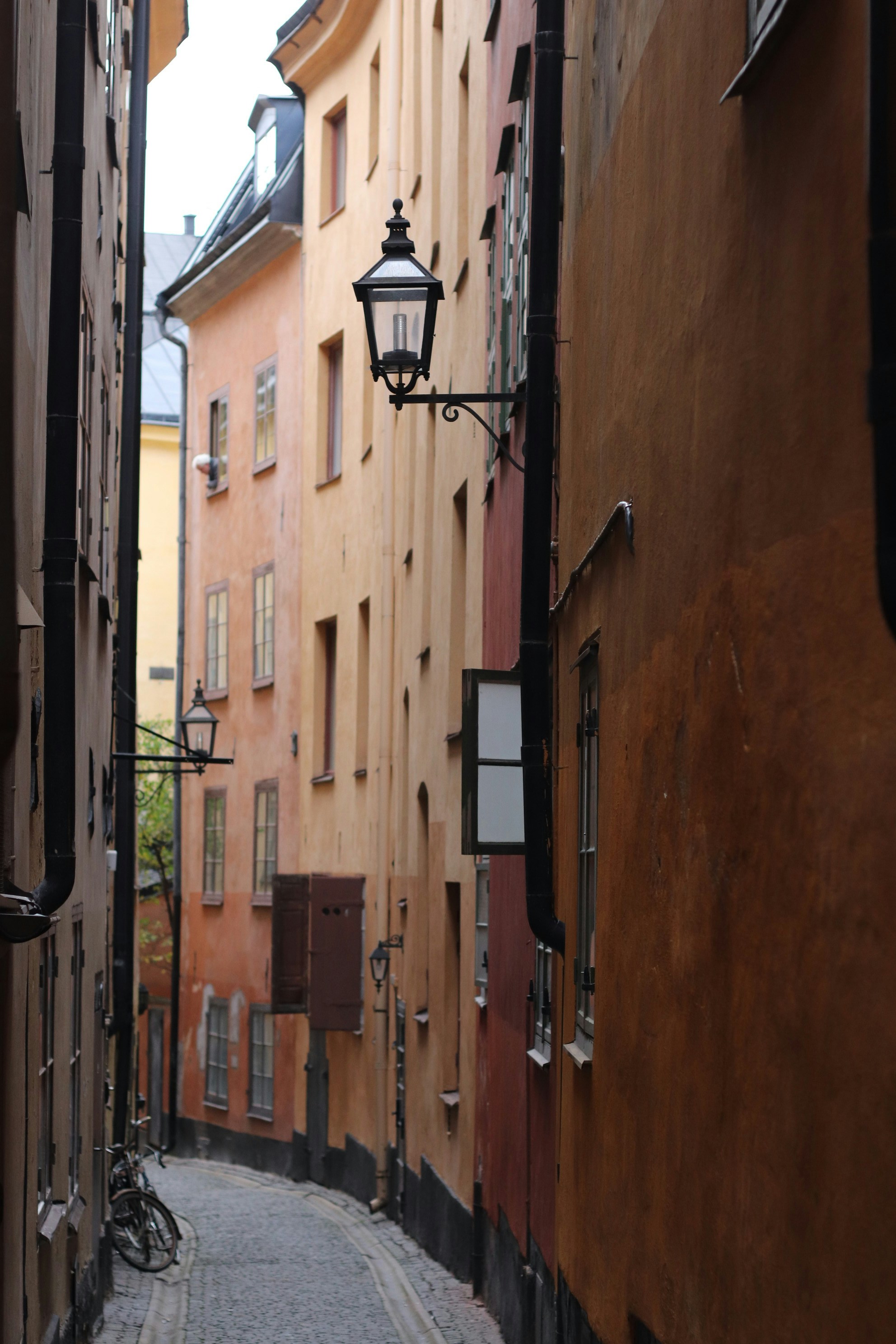 Photo by tanyabarrow