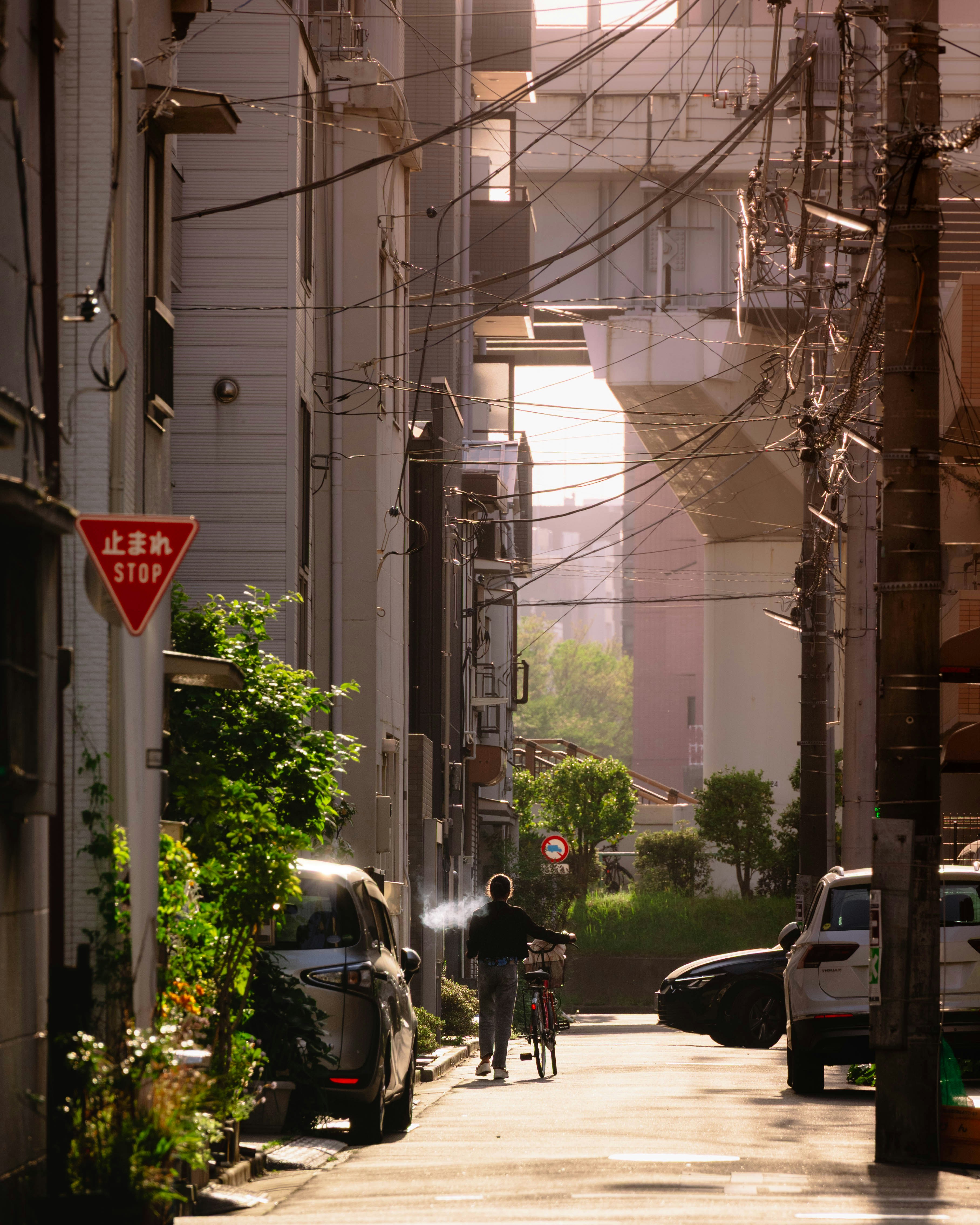 A person walks down a sunny city street.