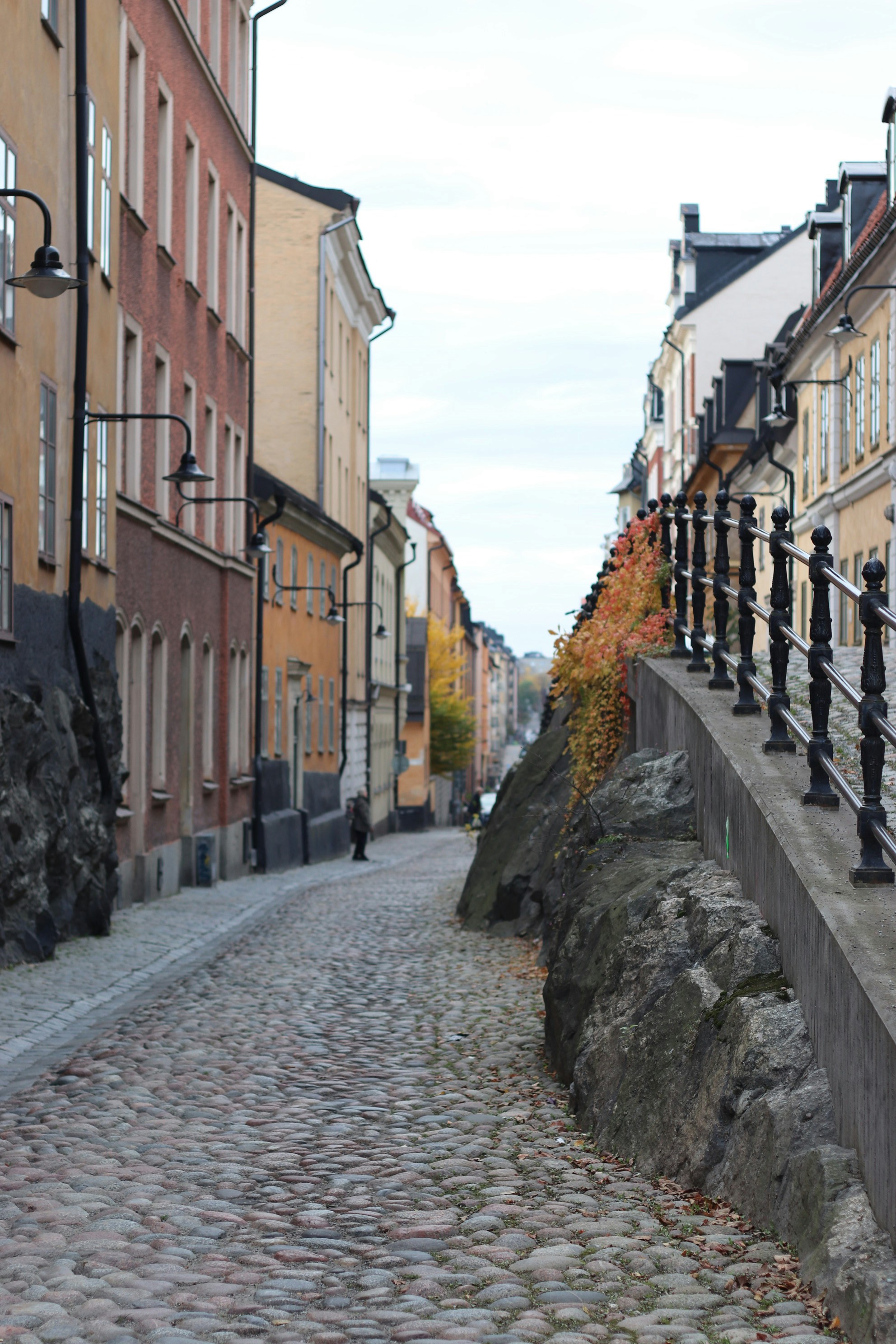 Photo by tanyabarrow