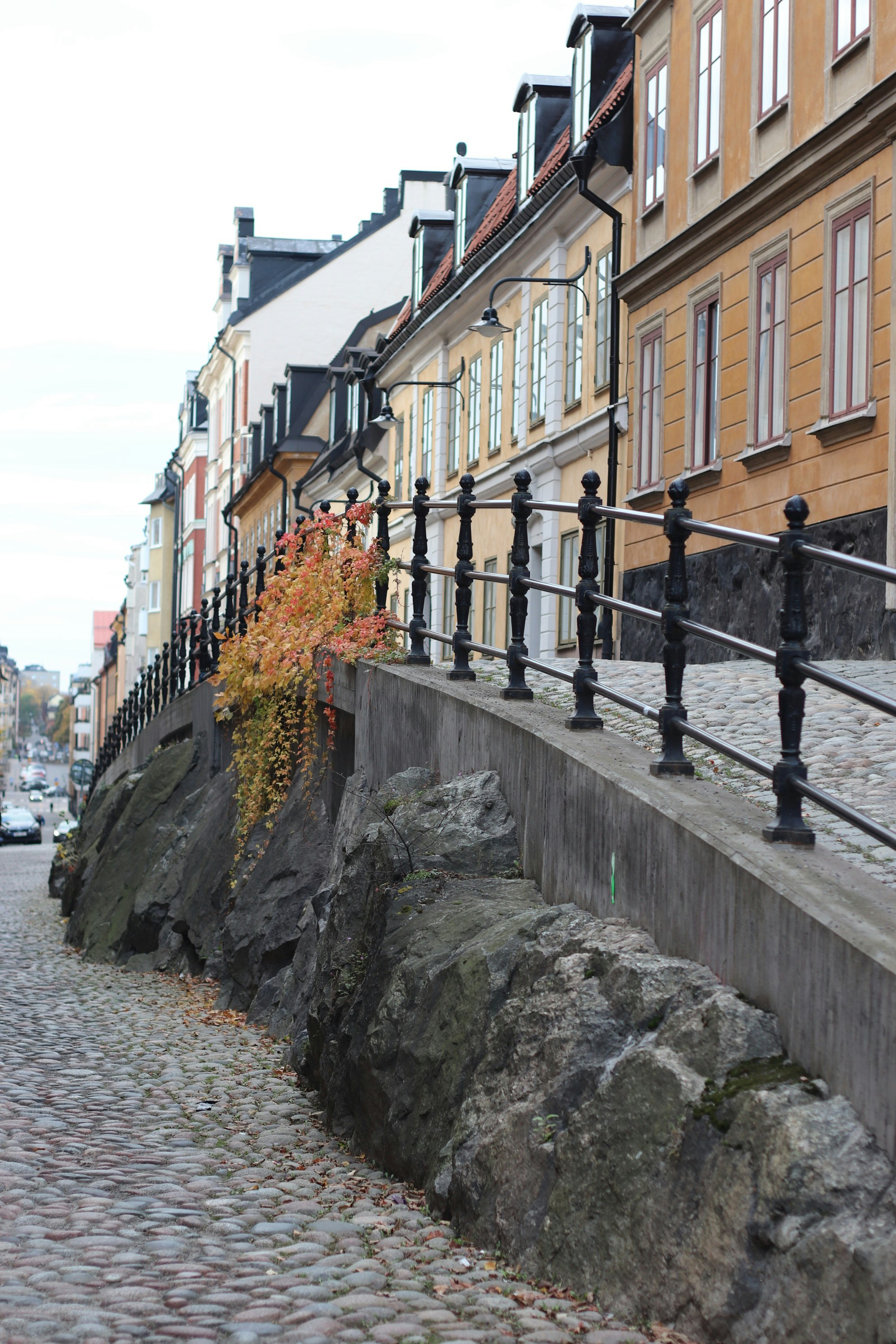 Photo by tanyabarrow