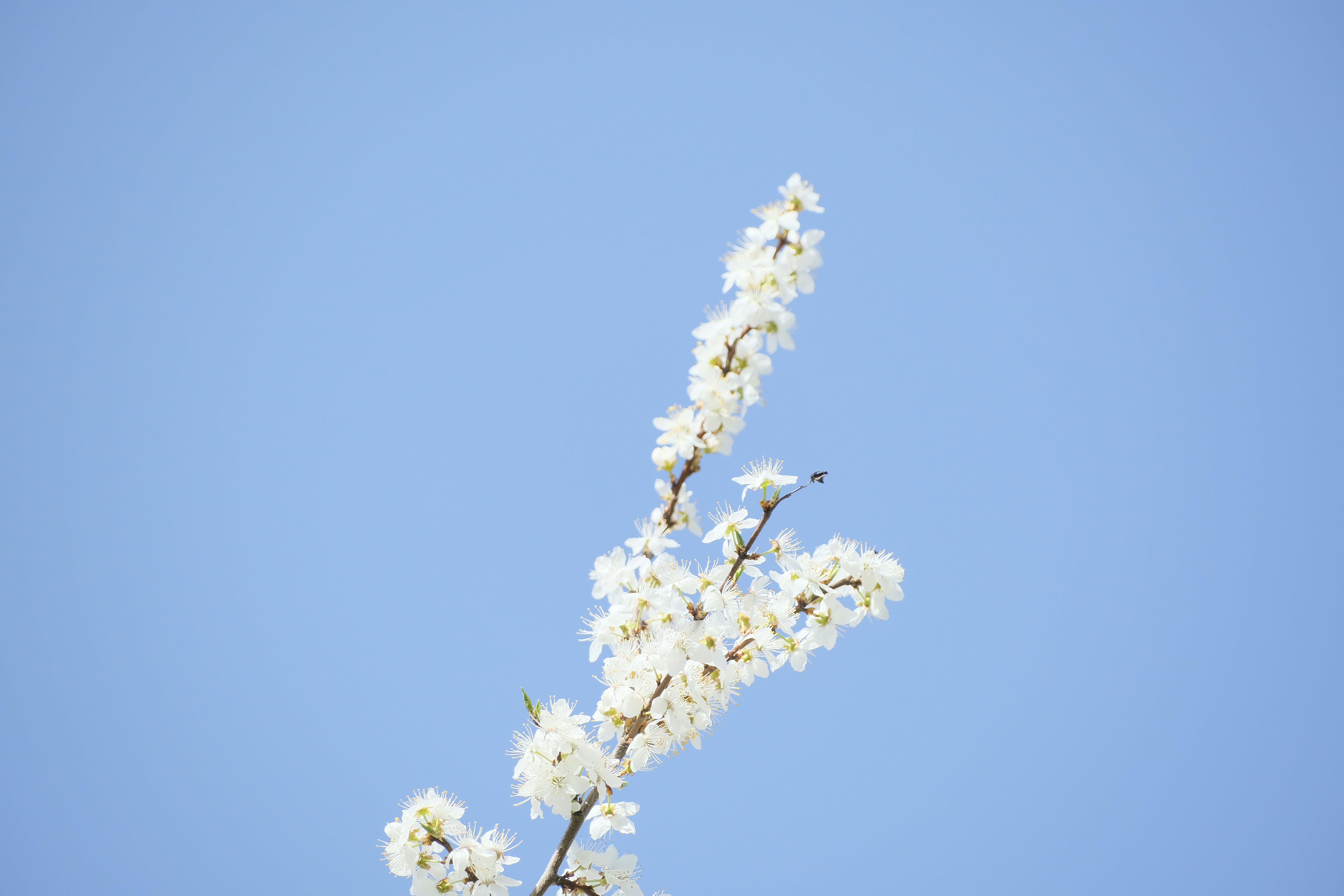 Photo by totadehelle