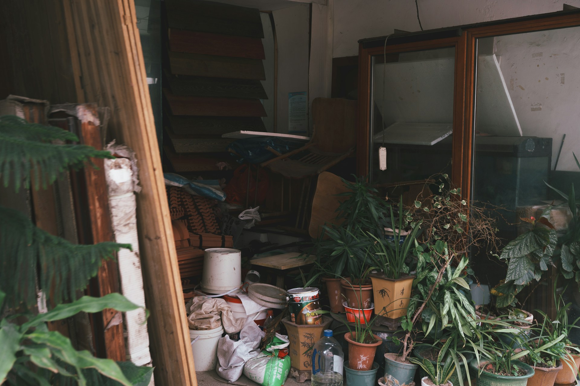 There is a cluttered room with plants and furniture.