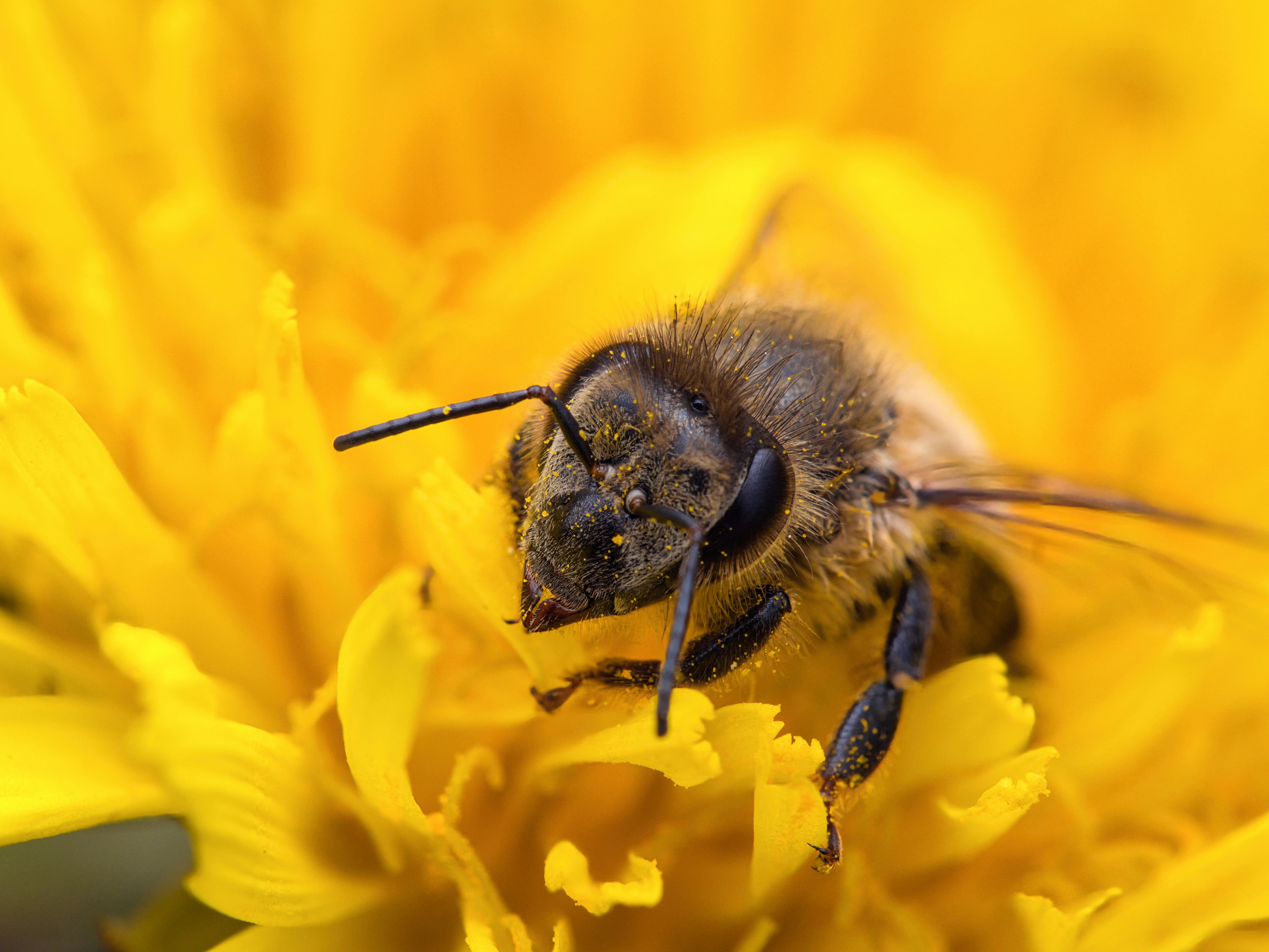 Photo by theskytales