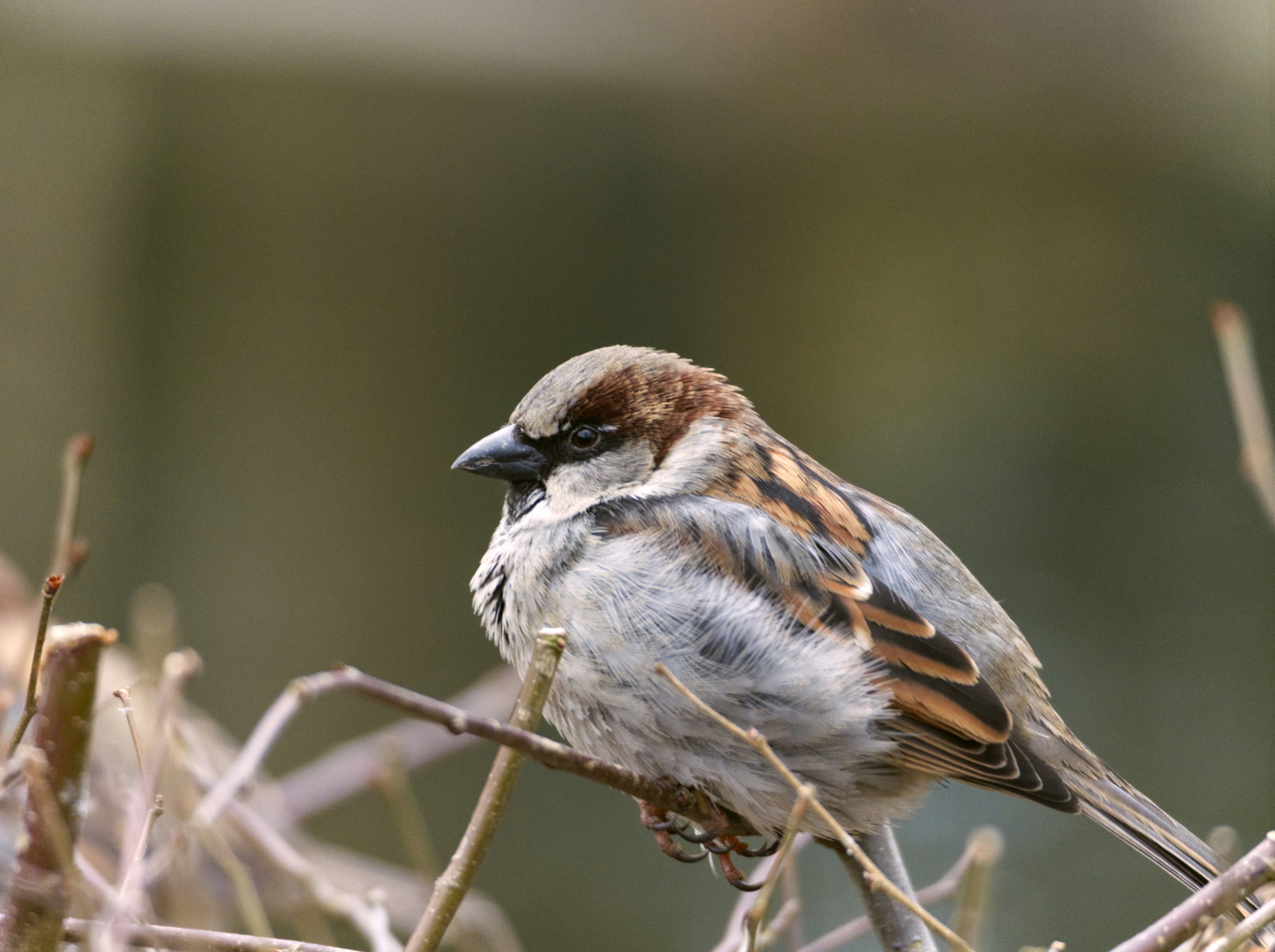 Photo by theskytales