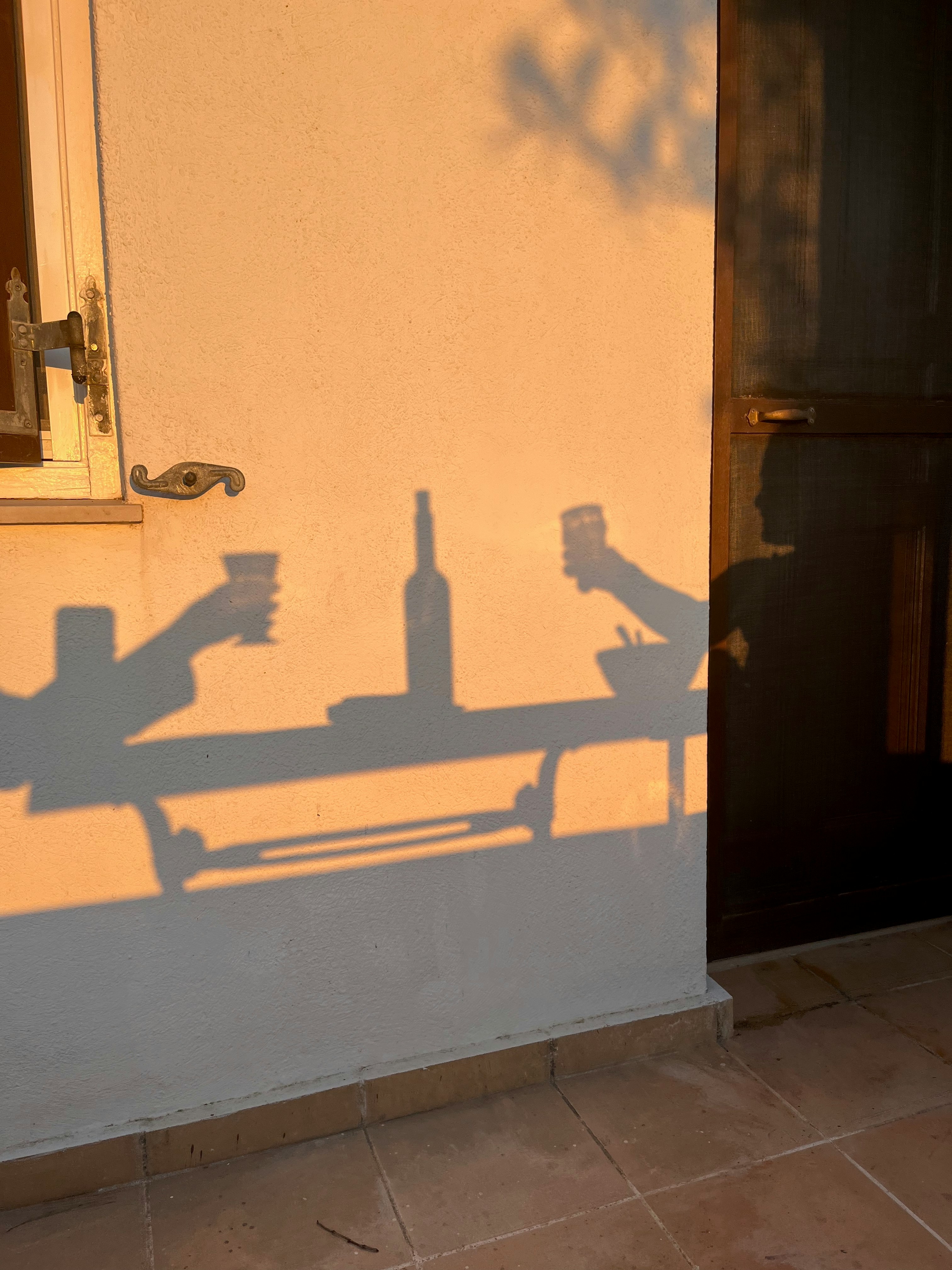 Shadows of a toast with wine at sunset