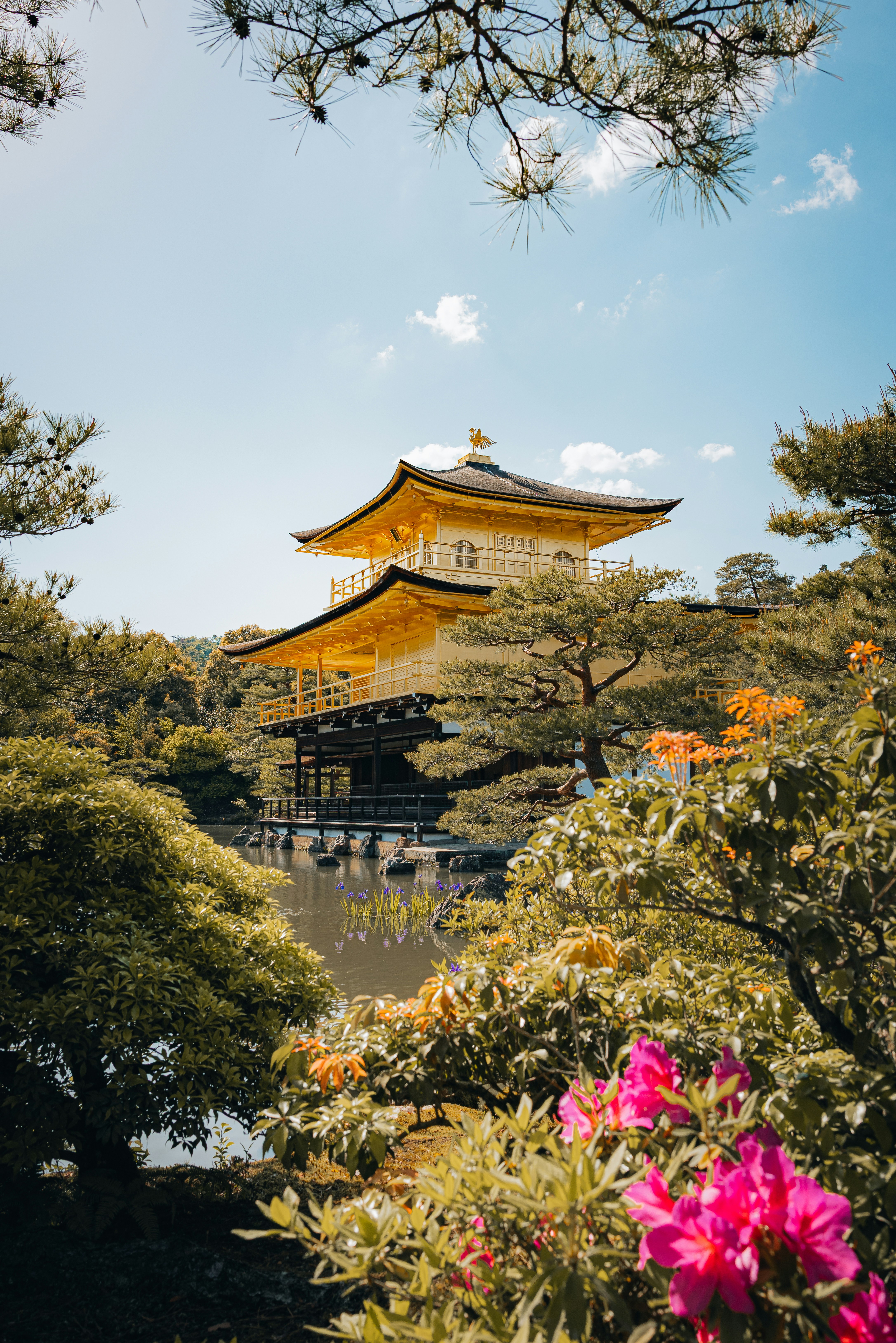 Golden pavilion temple framed by lush green foliage.