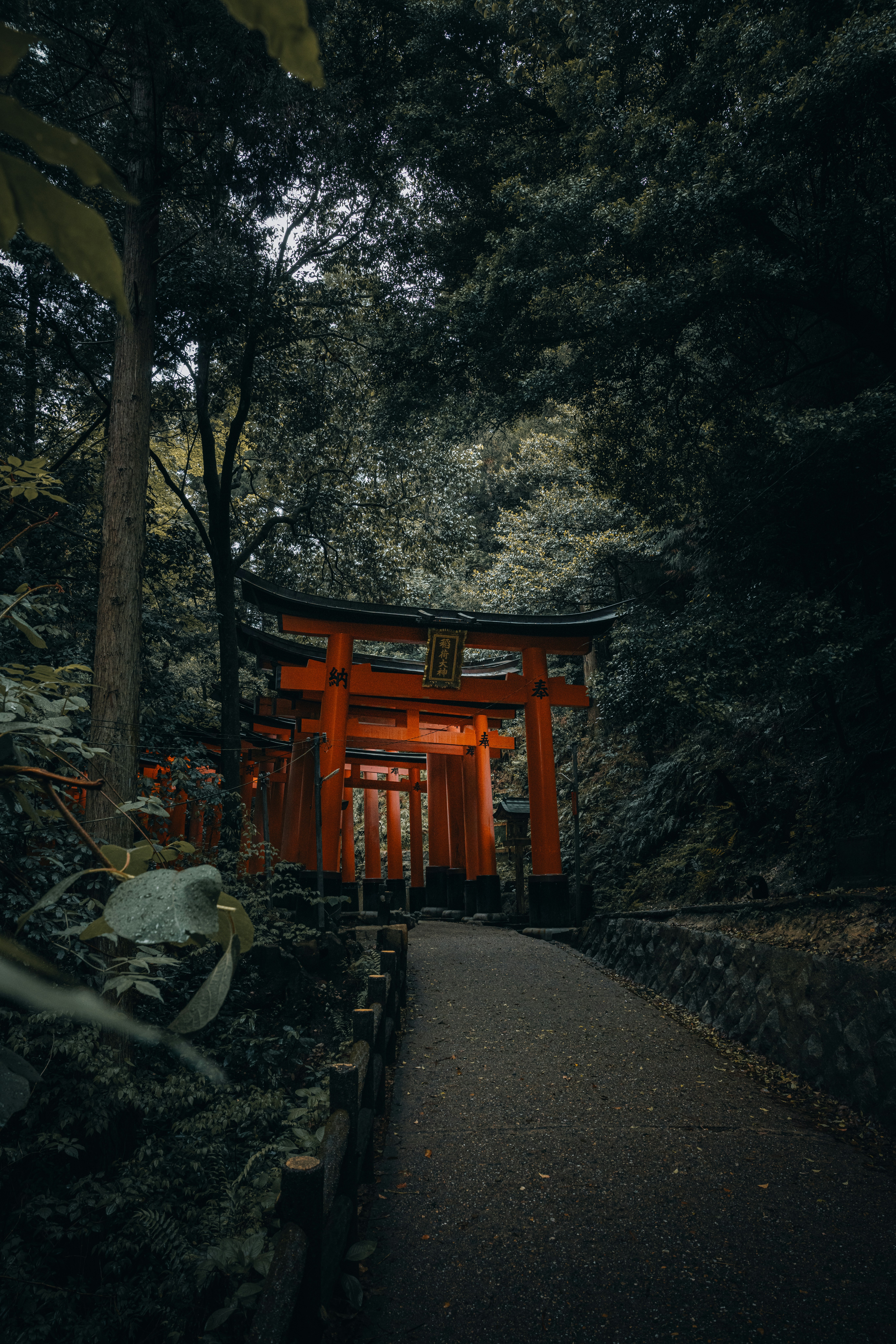 A pathway leads to red torii gates.