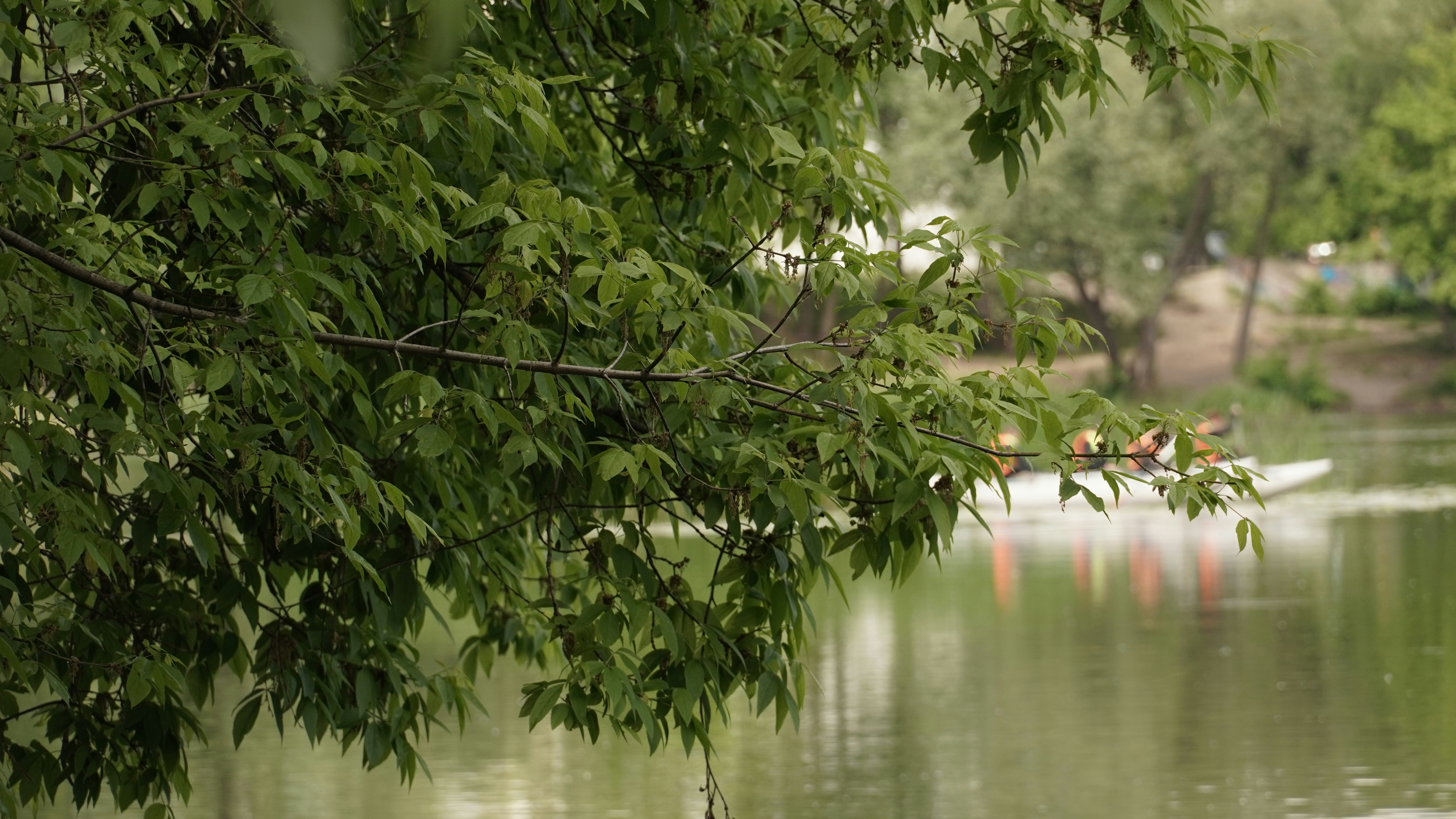 Photo by oleksandra_sereda