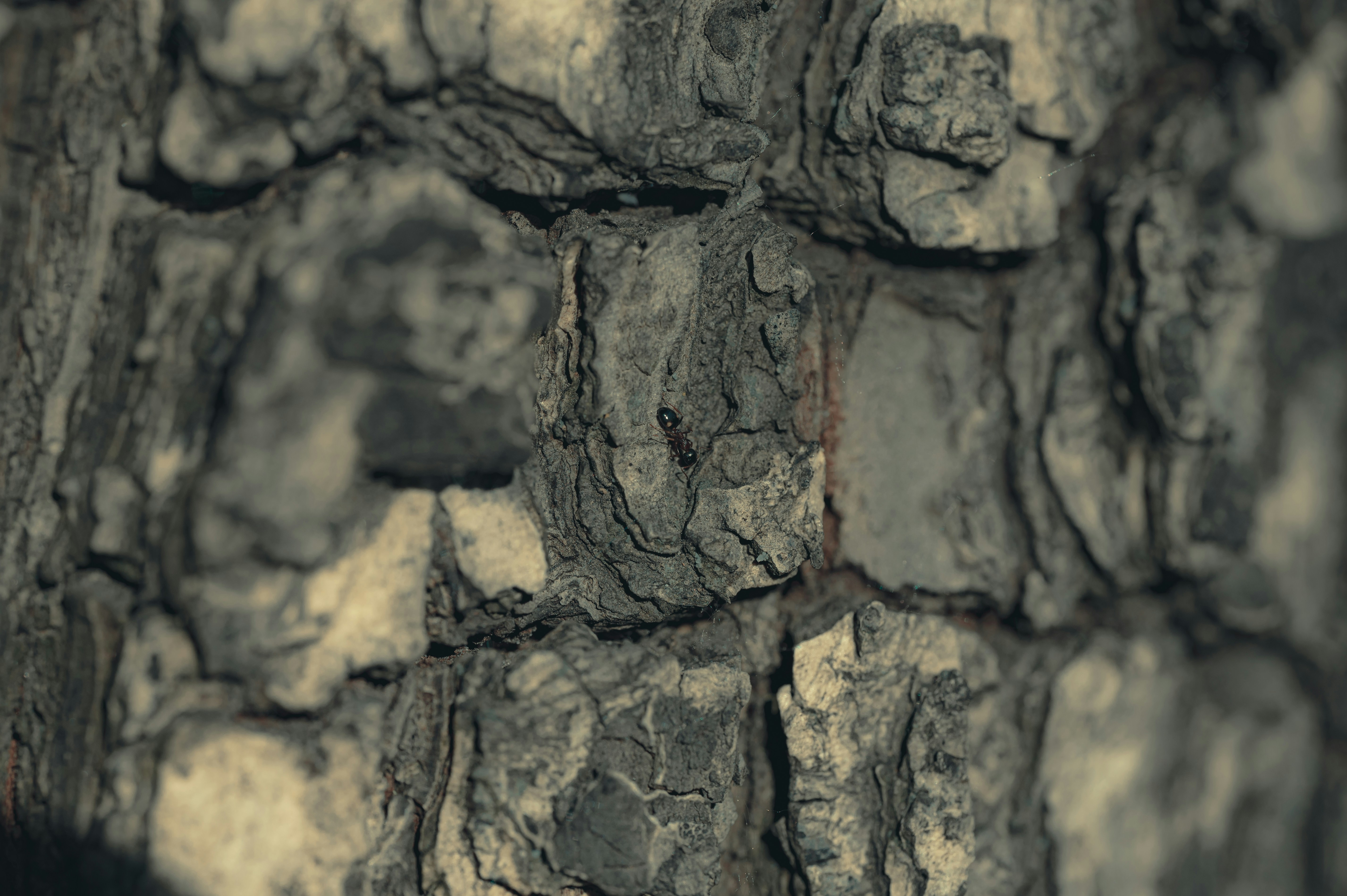 Photo by volodymyr_leush