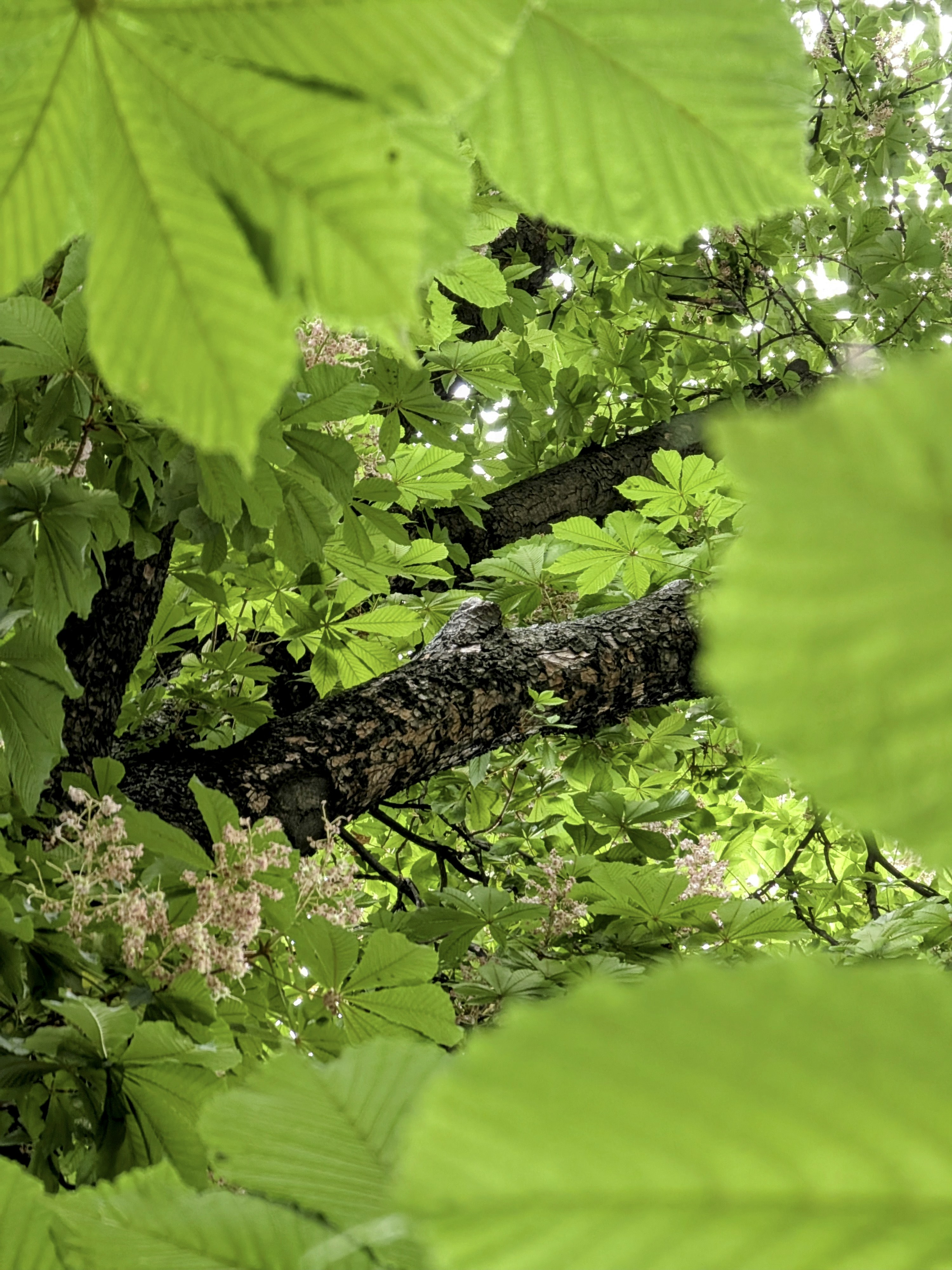 Photo by nandorkelecsenyi