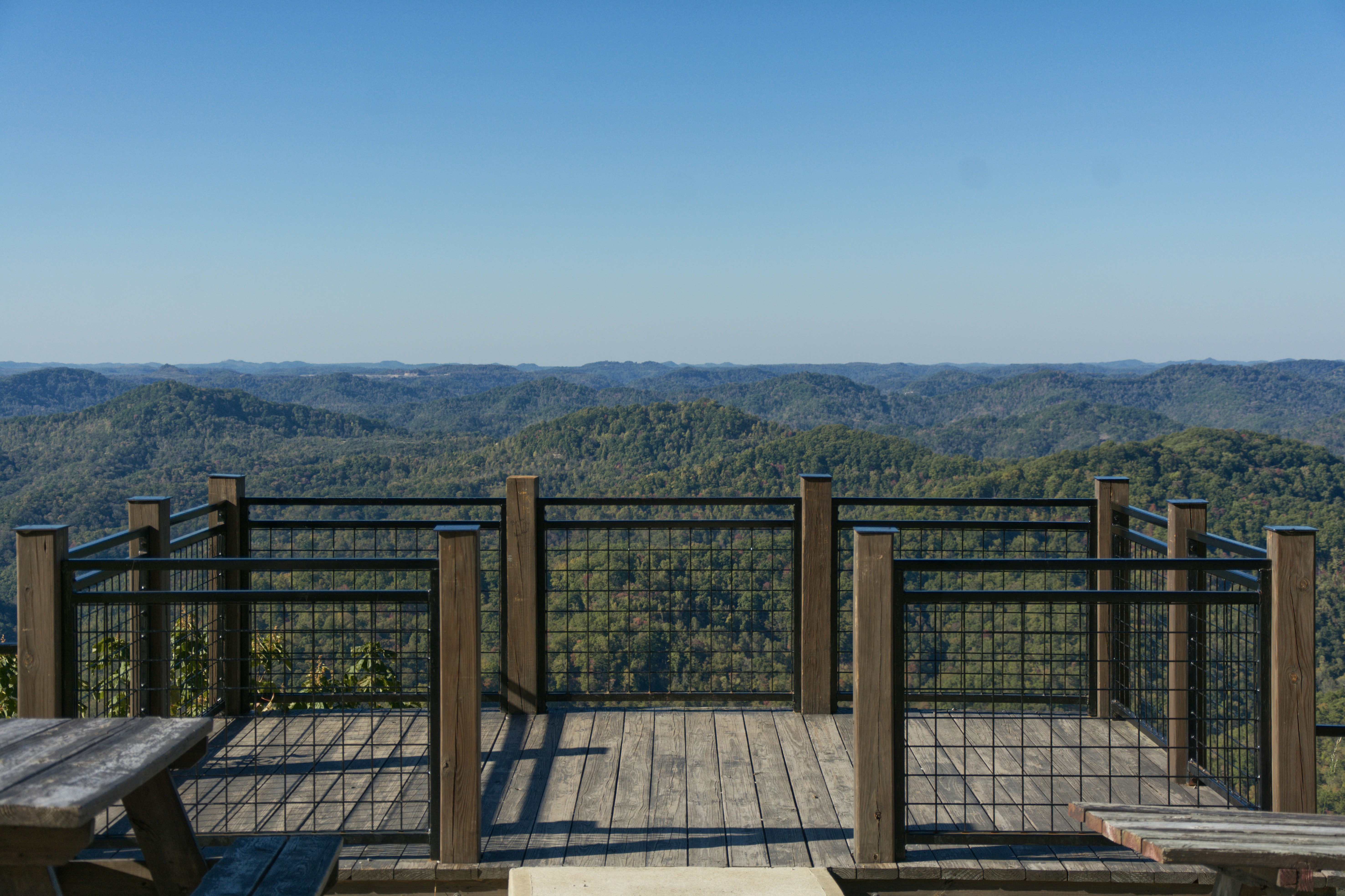 McIntosh Reserve