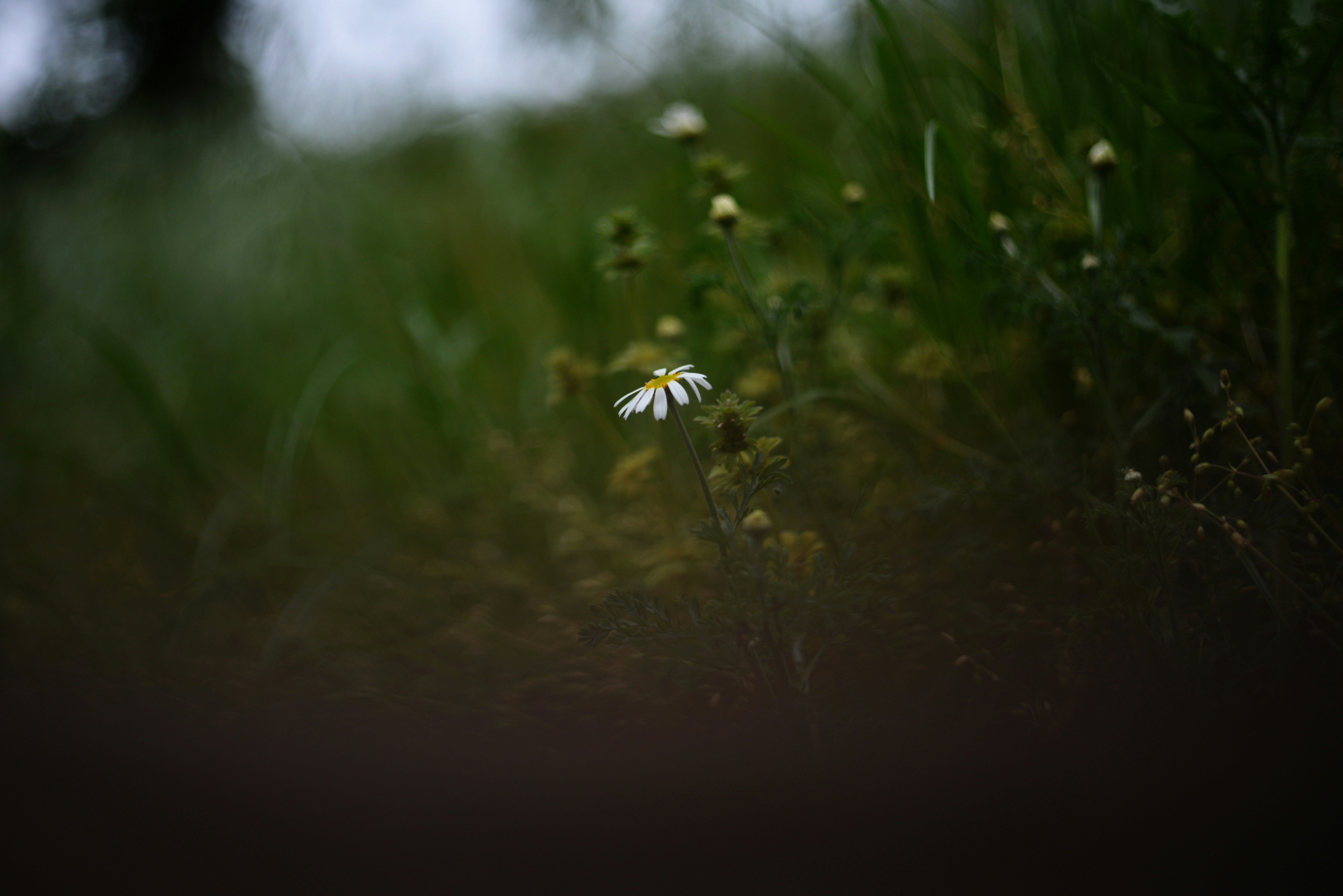 Photo by cherstve_pechivo