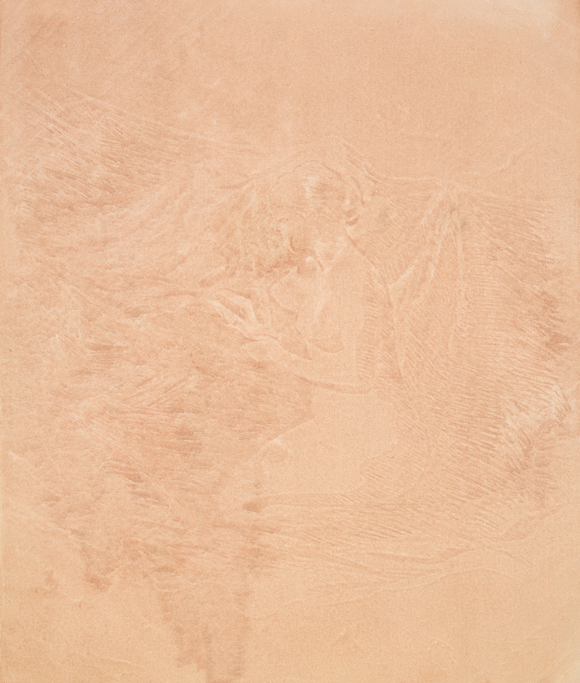Abstract texture with light brown and beige hues
