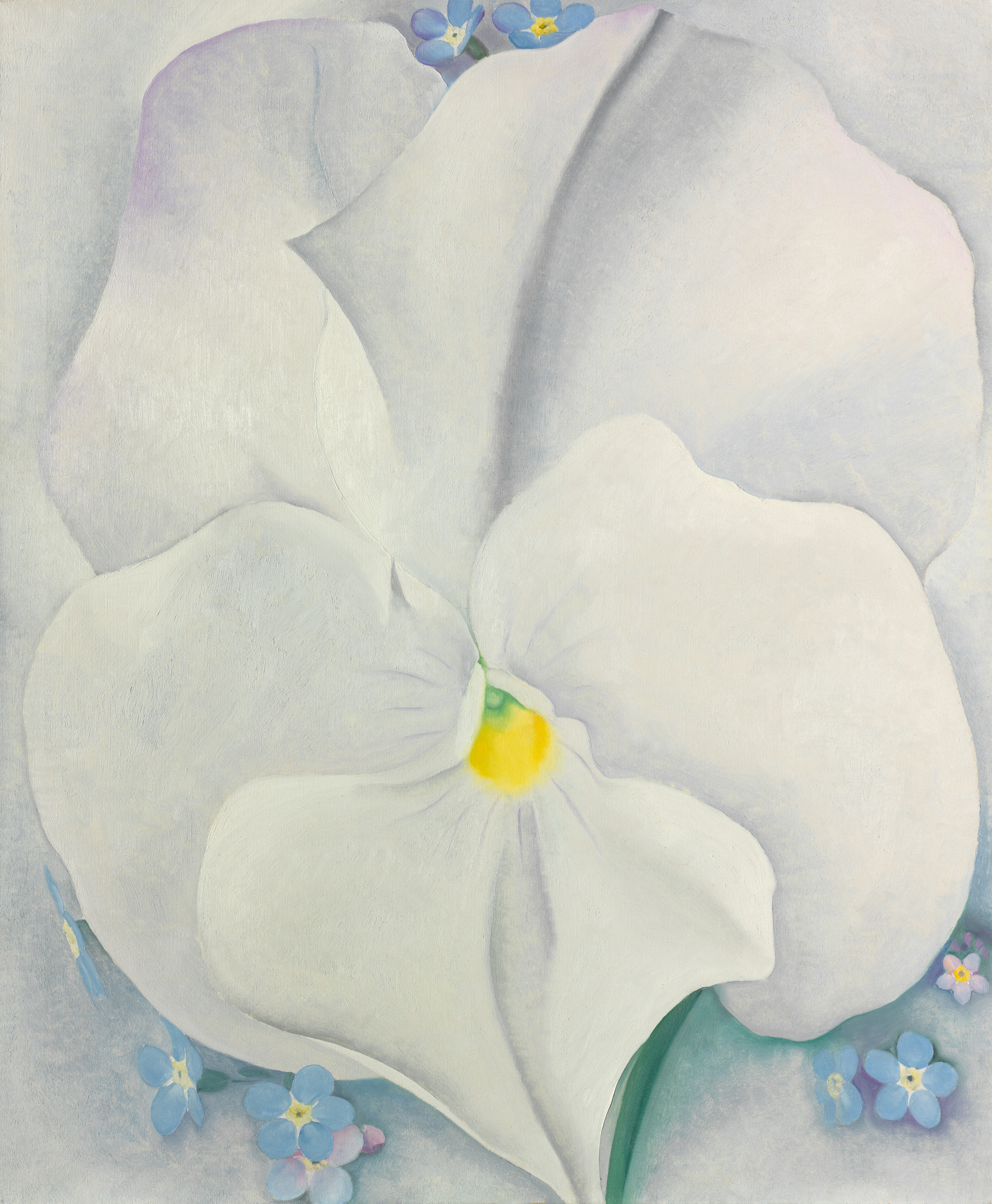 大きな白い花のクローズアップ絵画。の写真 – Unsplashの花の
