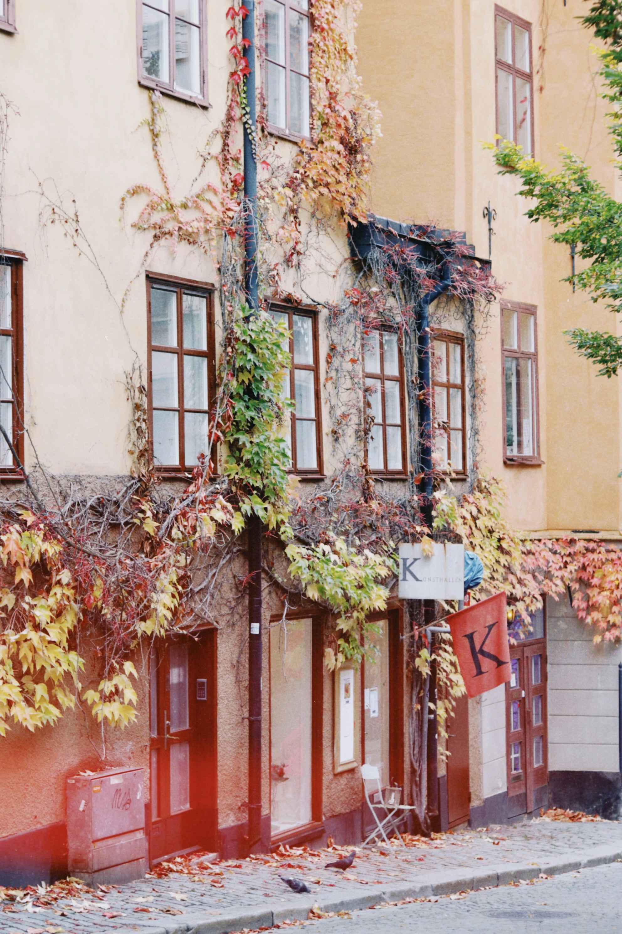 Photo by tanyabarrow