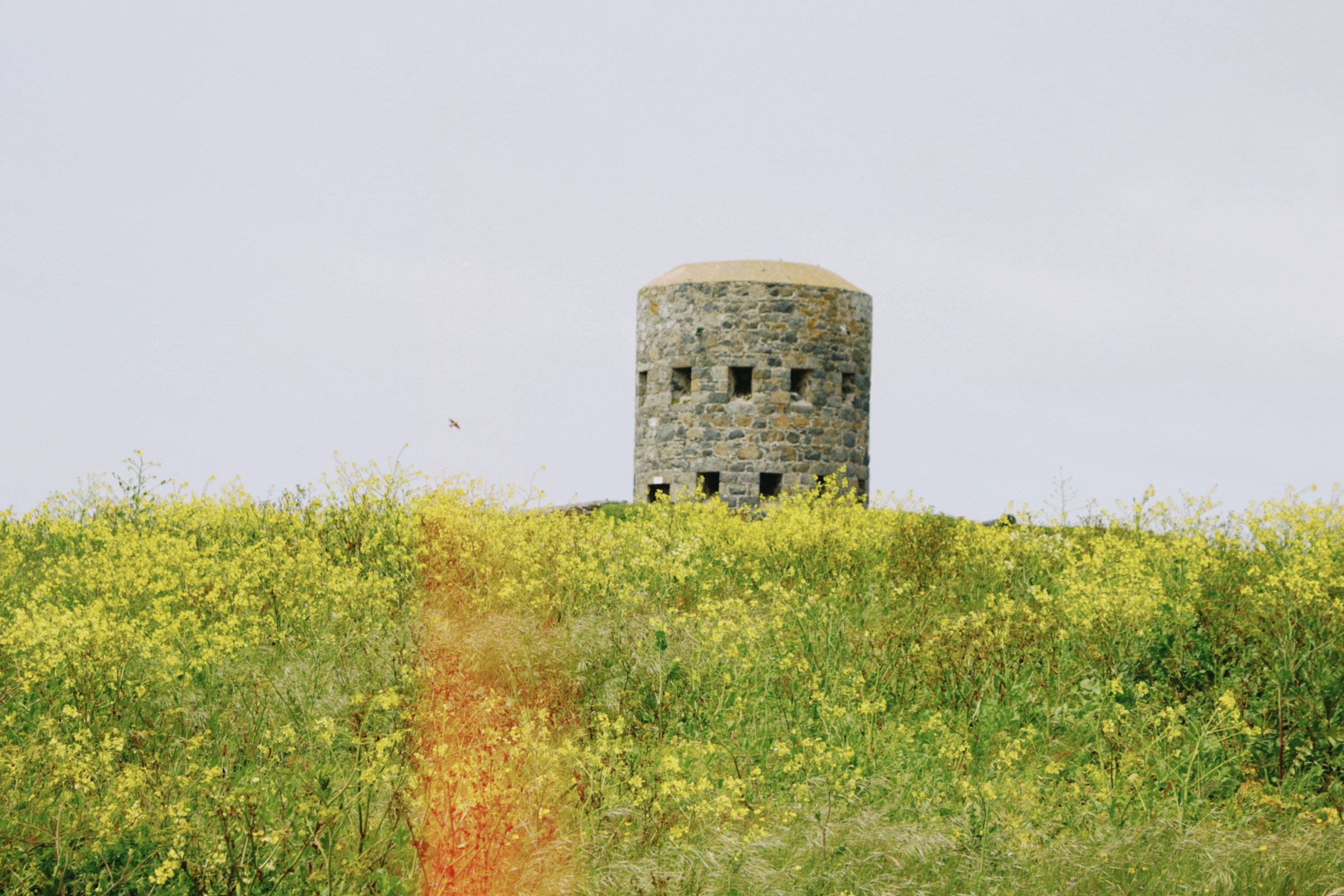 Photo by tanyabarrow