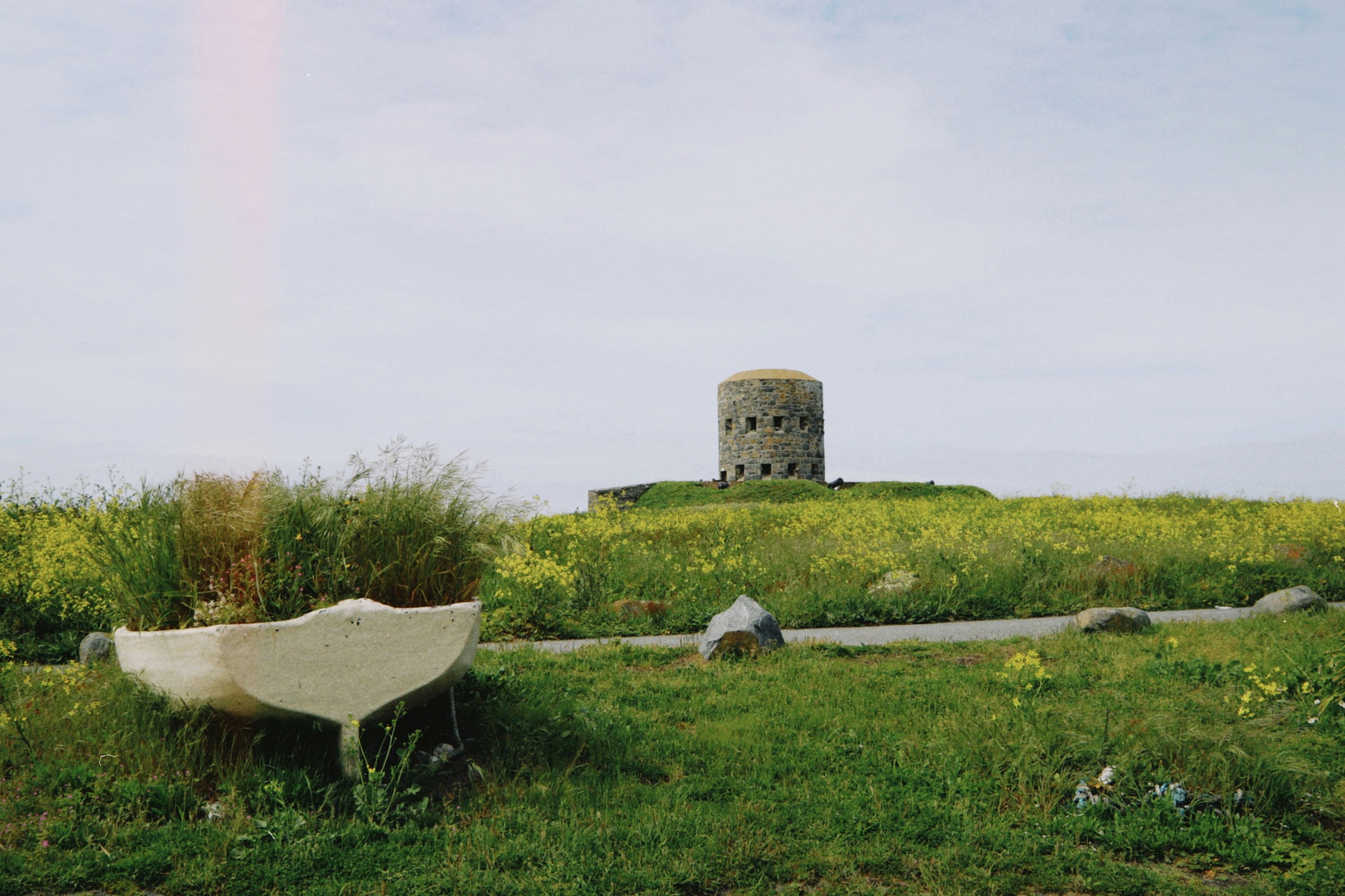 Photo by tanyabarrow