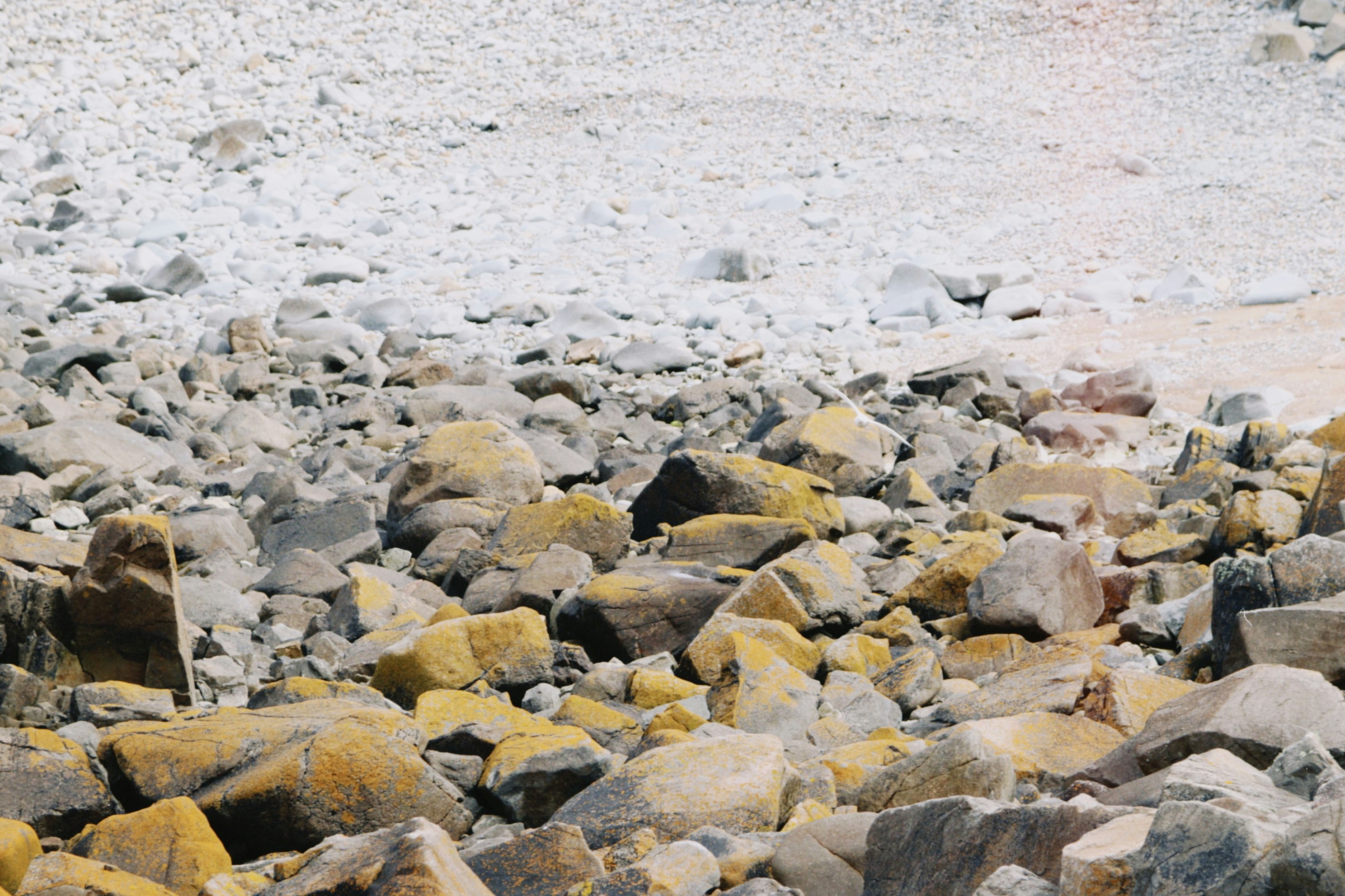 Photo by tanyabarrow