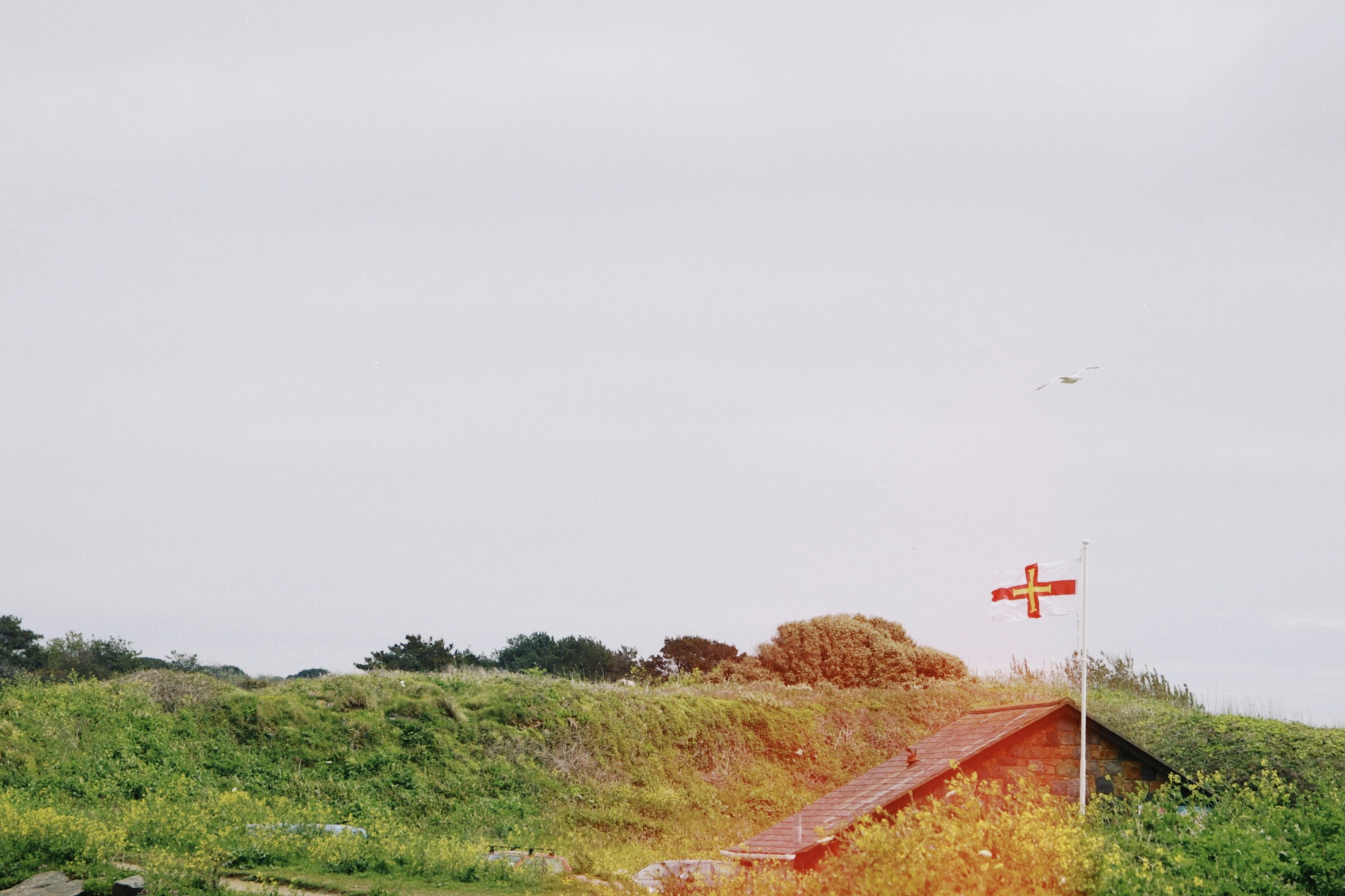 Photo by tanyabarrow