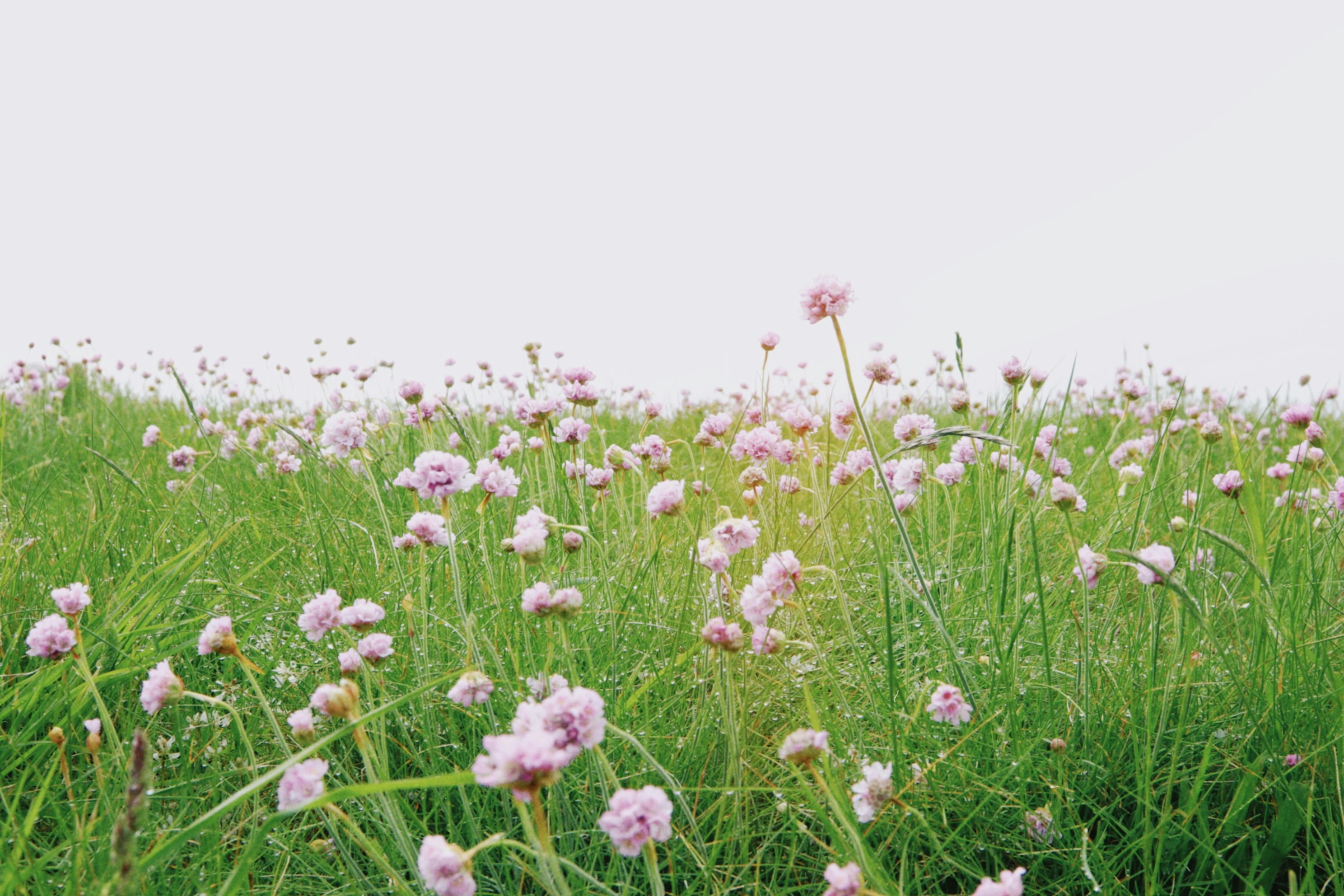 Photo by tanyabarrow