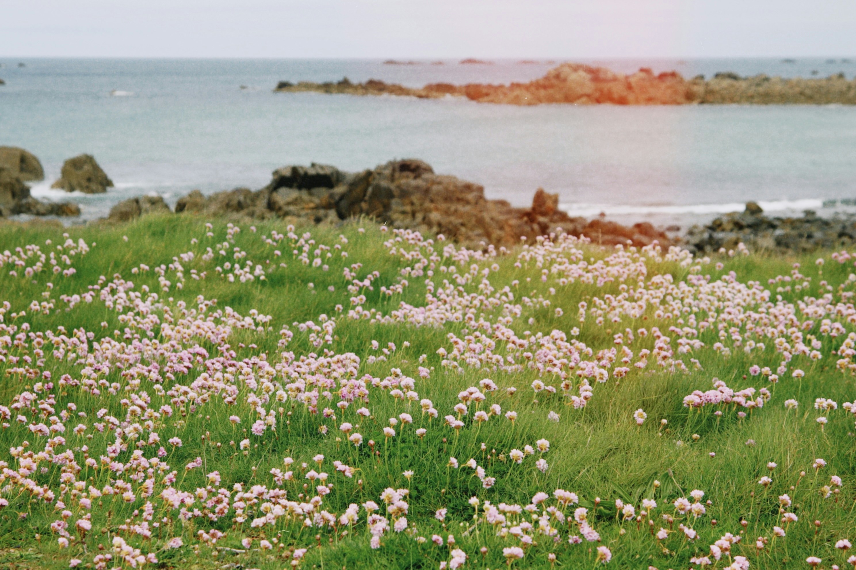 Photo by tanyabarrow