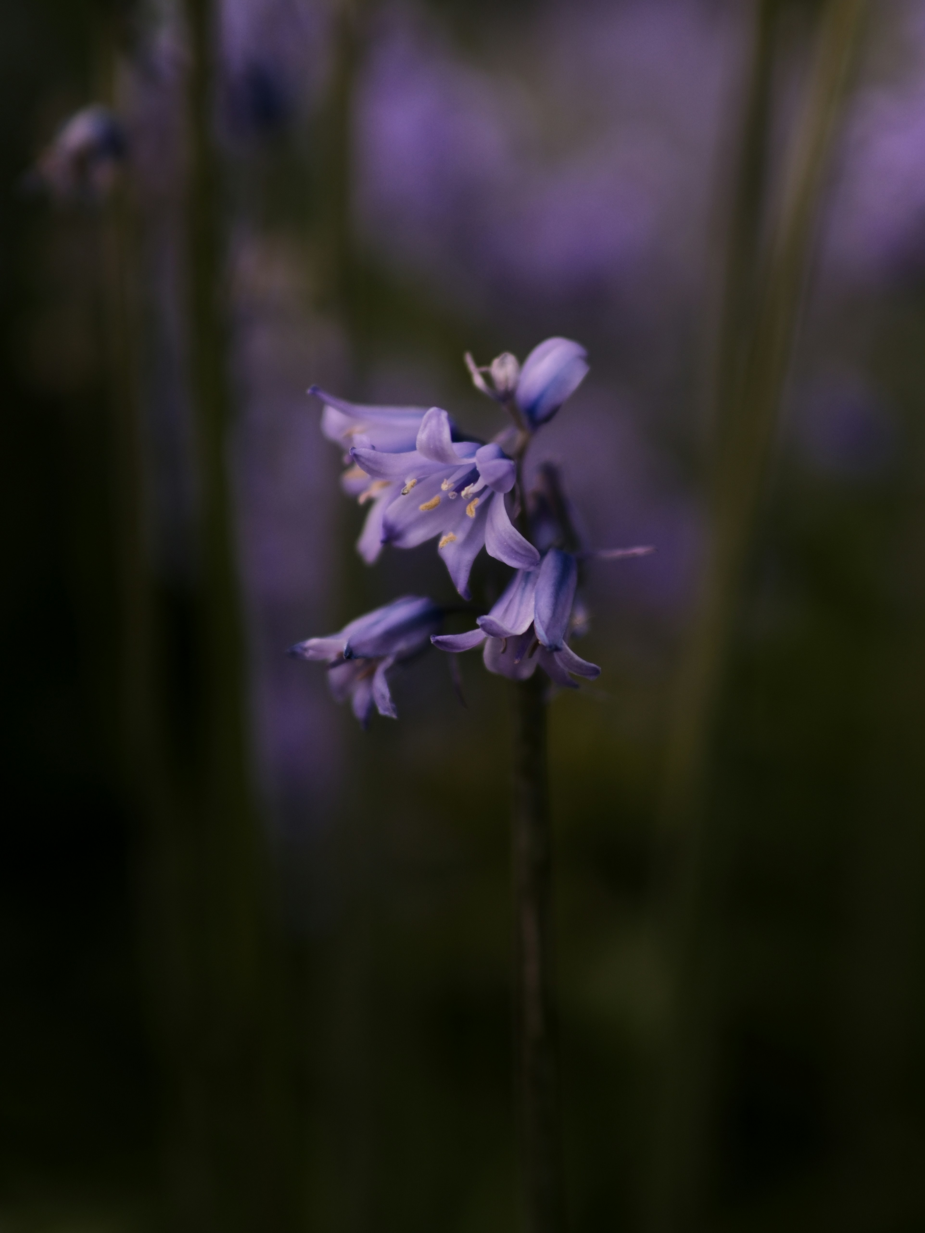 Photo by farnaz________